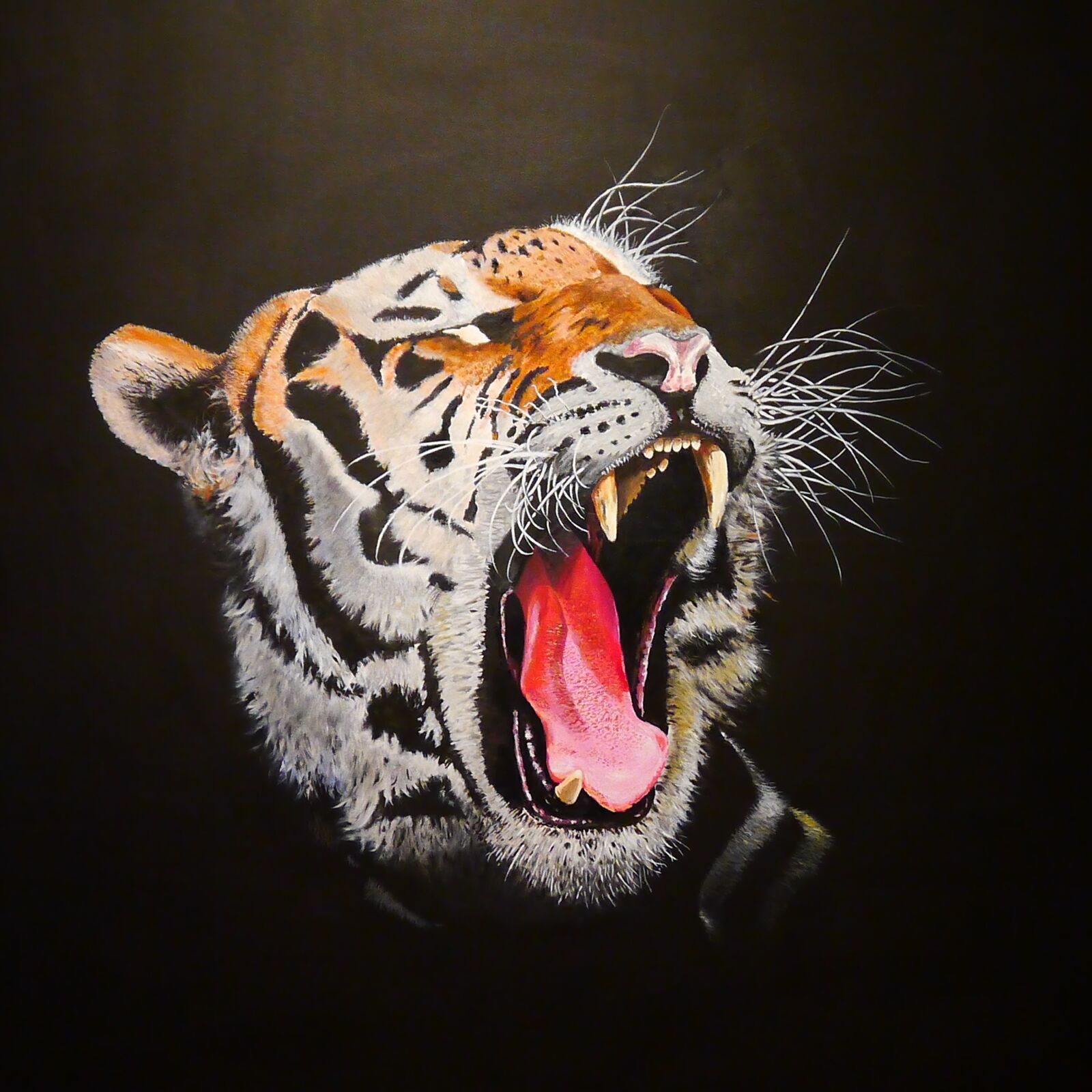 Panasonic Lumix DMC-G3 sample photo. Tiger, panthera tigris, predator photography