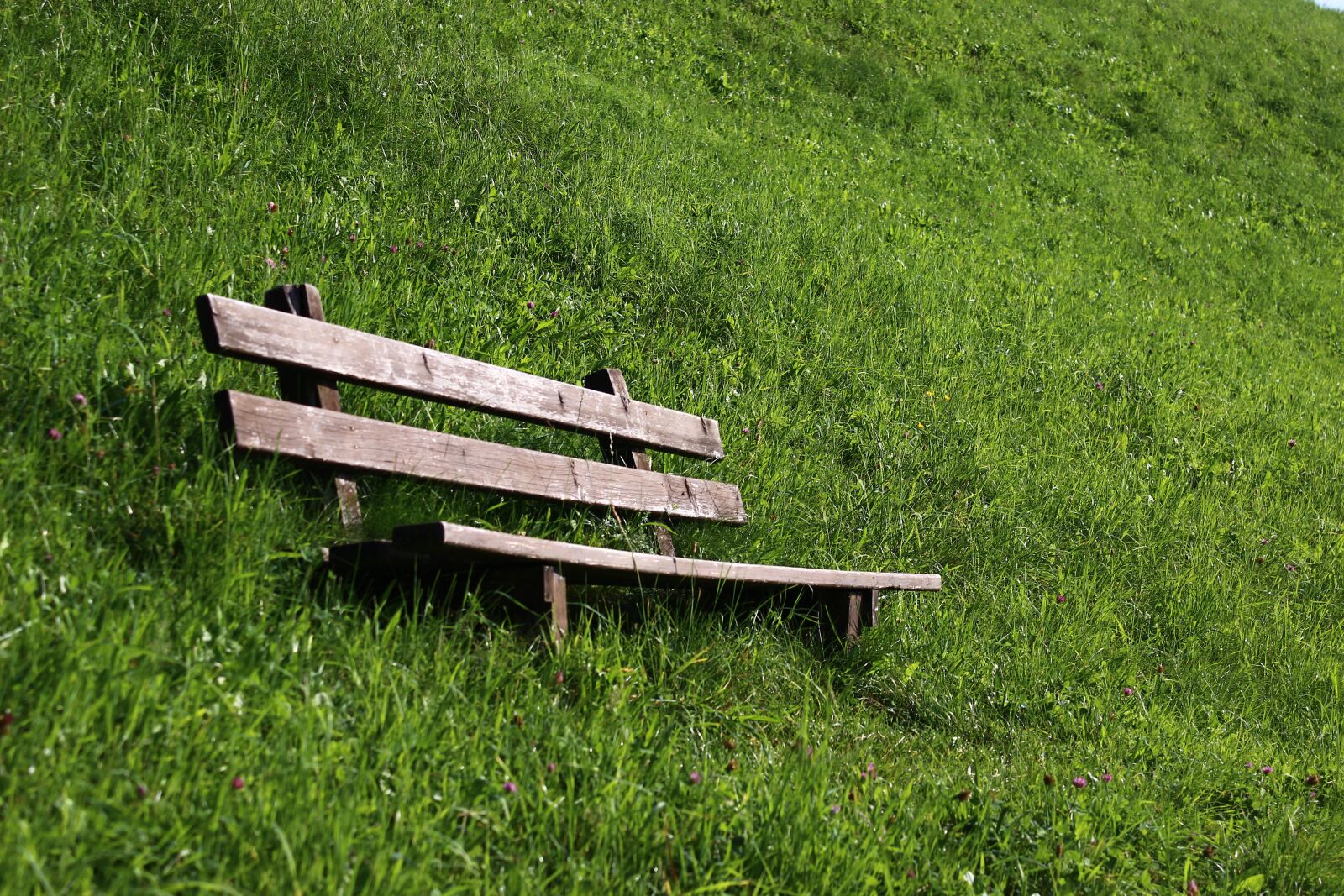 Canon EOS 600D (Rebel EOS T3i / EOS Kiss X5) sample photo. Bank, rest, meadow photography