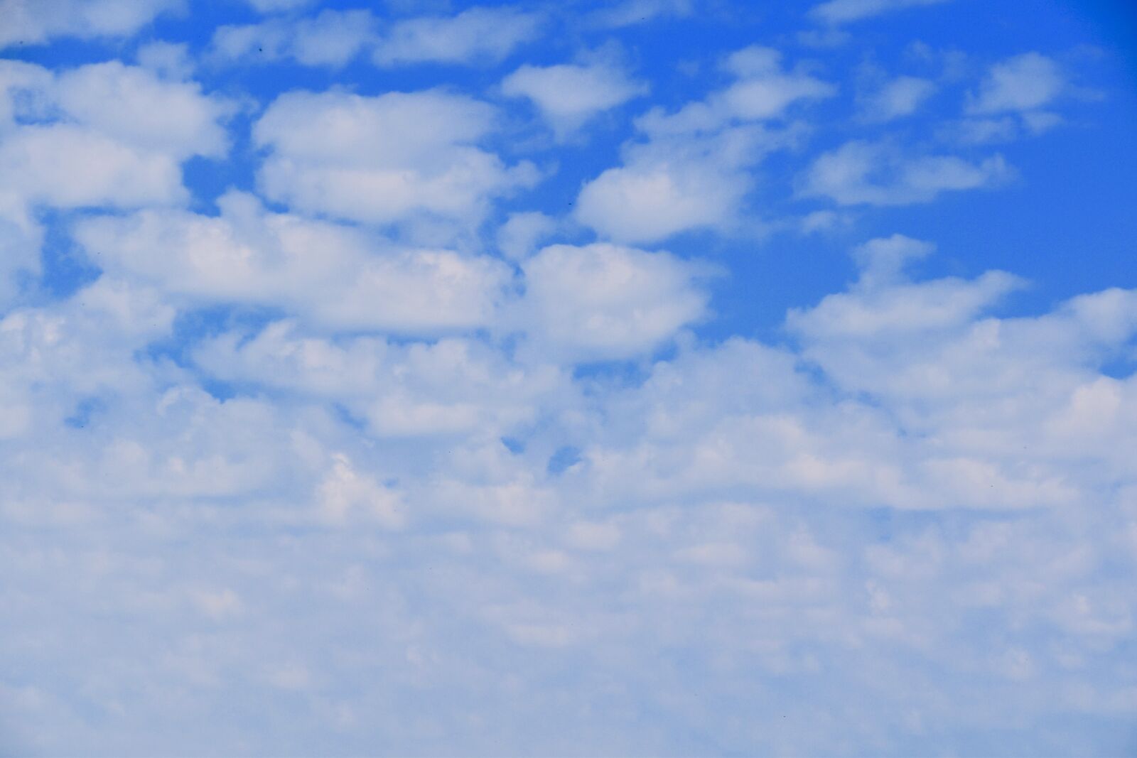 Nikon D5600 sample photo. Clouds, white clouds, cumulus photography
