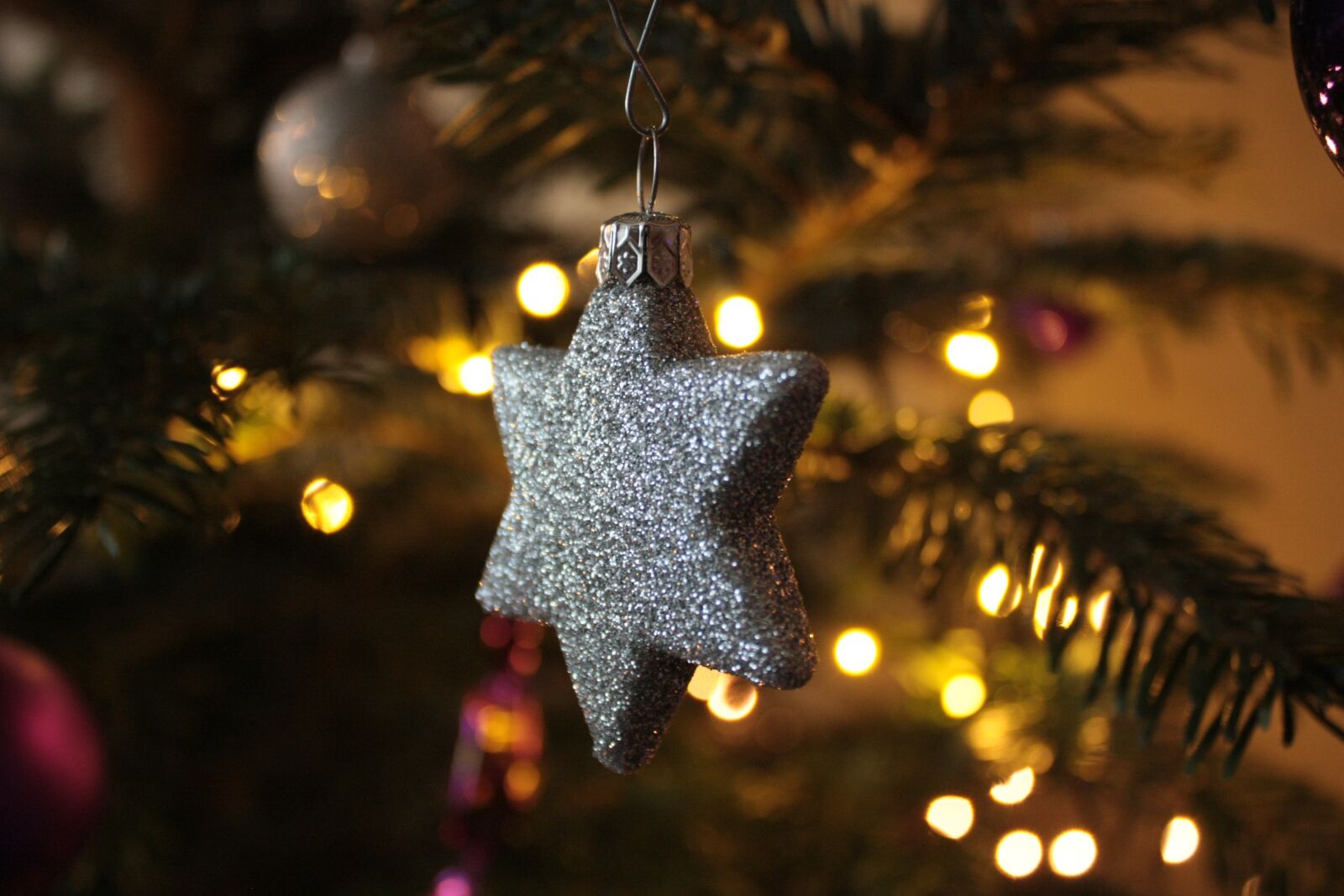 Canon EOS 450D (EOS Rebel XSi / EOS Kiss X2) sample photo. Christmas, decoration, glitter photography