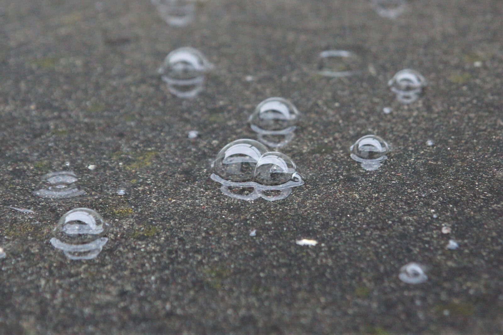 24-70mm F2.8 sample photo. Rain, water, bubble photography