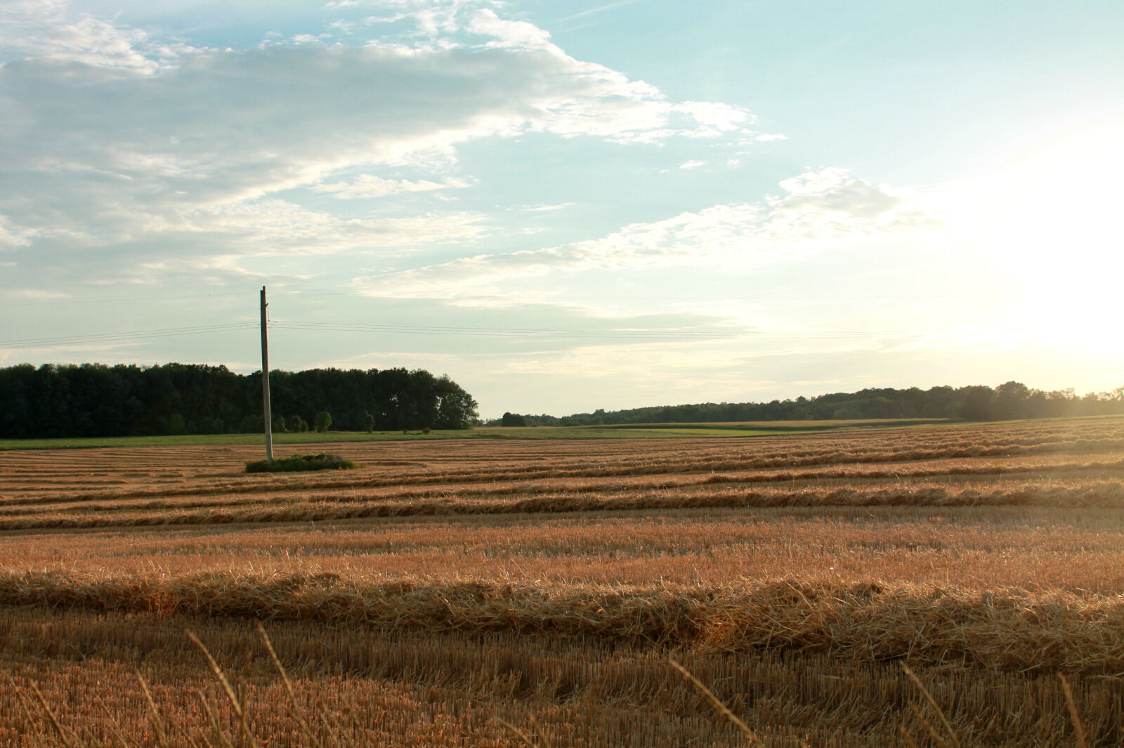 Canon EOS 1100D (EOS Rebel T3 / EOS Kiss X50) sample photo. Baling, crop, crops, evening photography