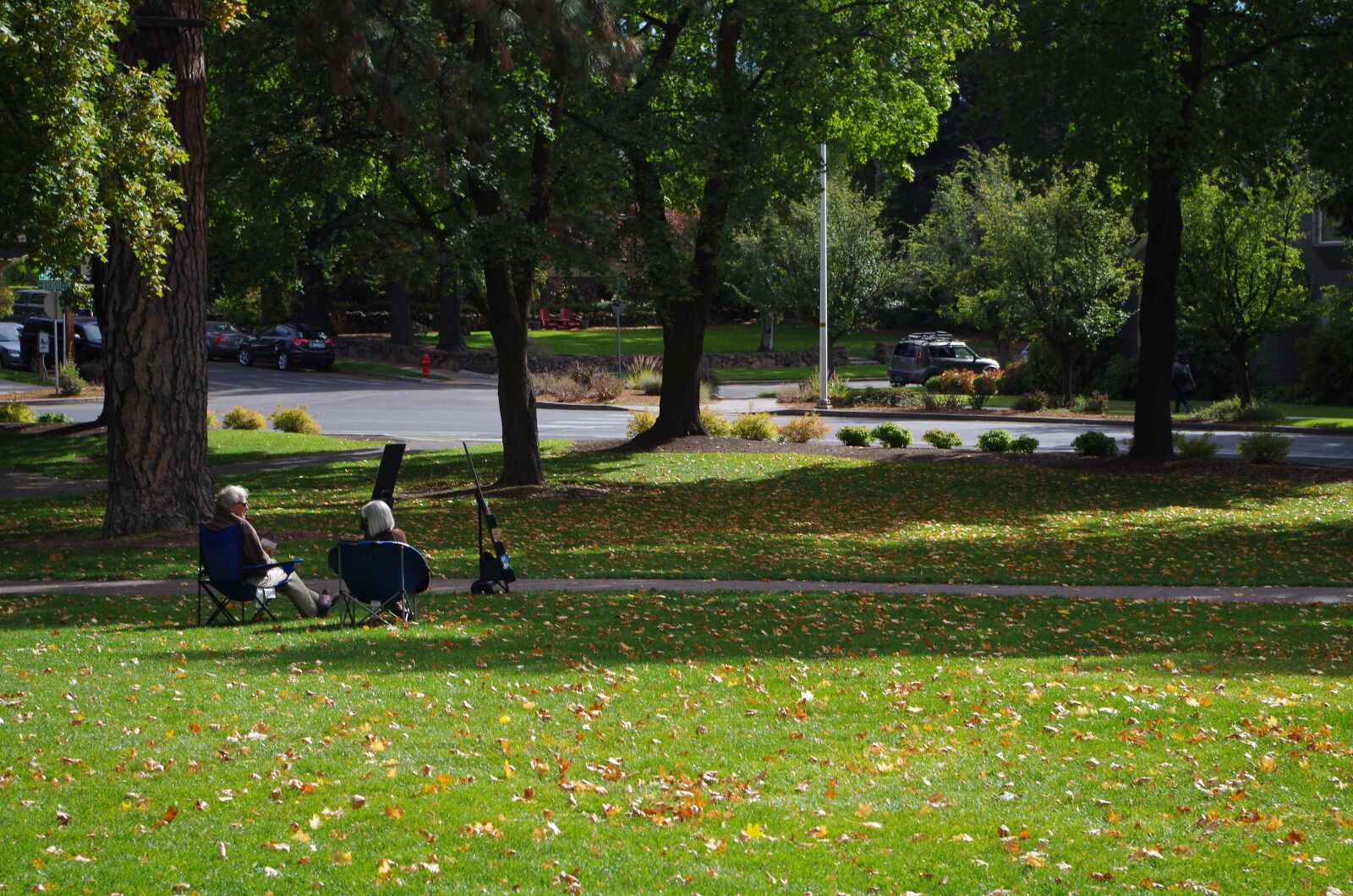 Pentax K-50 sample photo. Trees, park, shadows photography
