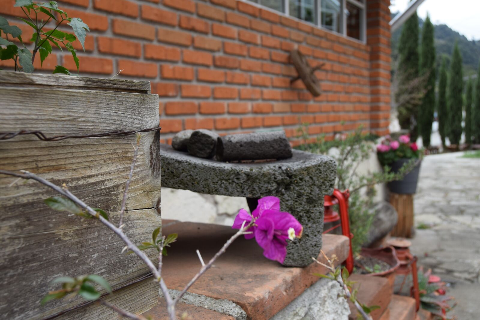 Nikon D3300 sample photo. Omitlan, hidalgo, paseo photography