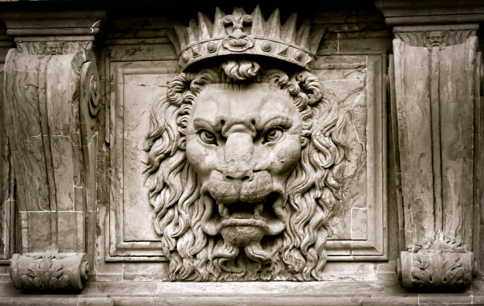 Canon EOS 400D (EOS Digital Rebel XTi / EOS Kiss Digital X) sample photo. Lion, king, crown photography