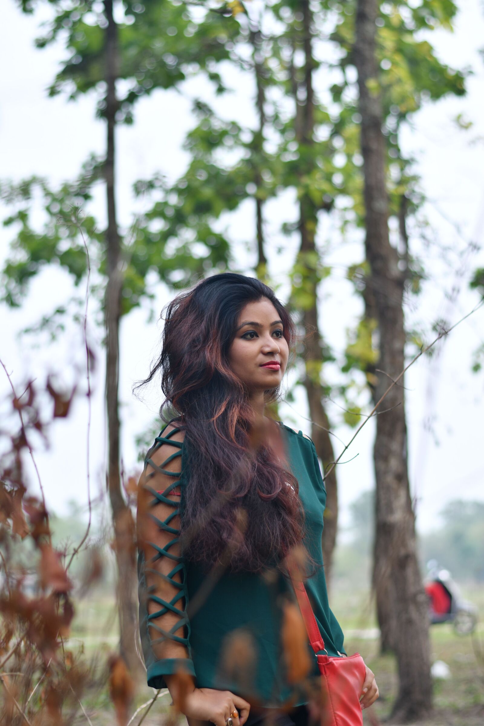 Nikon D7500 sample photo. Nature, beautiful, outdoors photography