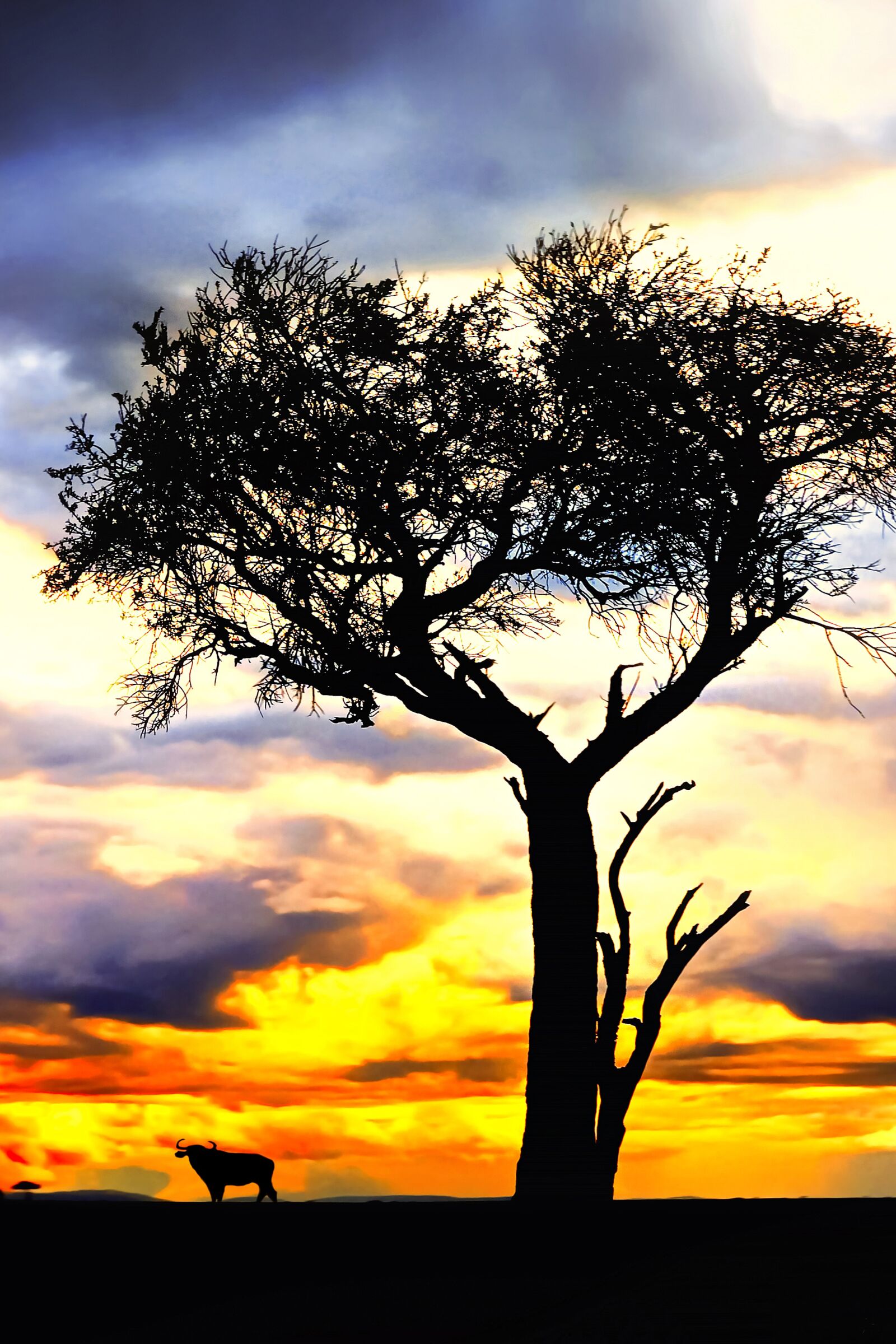 Nikon D3S sample photo. Tree, nature, animal photography