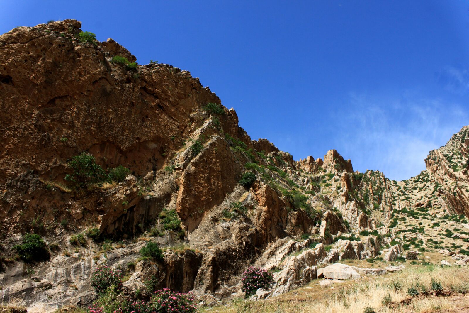Canon EOS 500D (EOS Rebel T1i / EOS Kiss X3) sample photo. Rocky, mountain, landscape photography