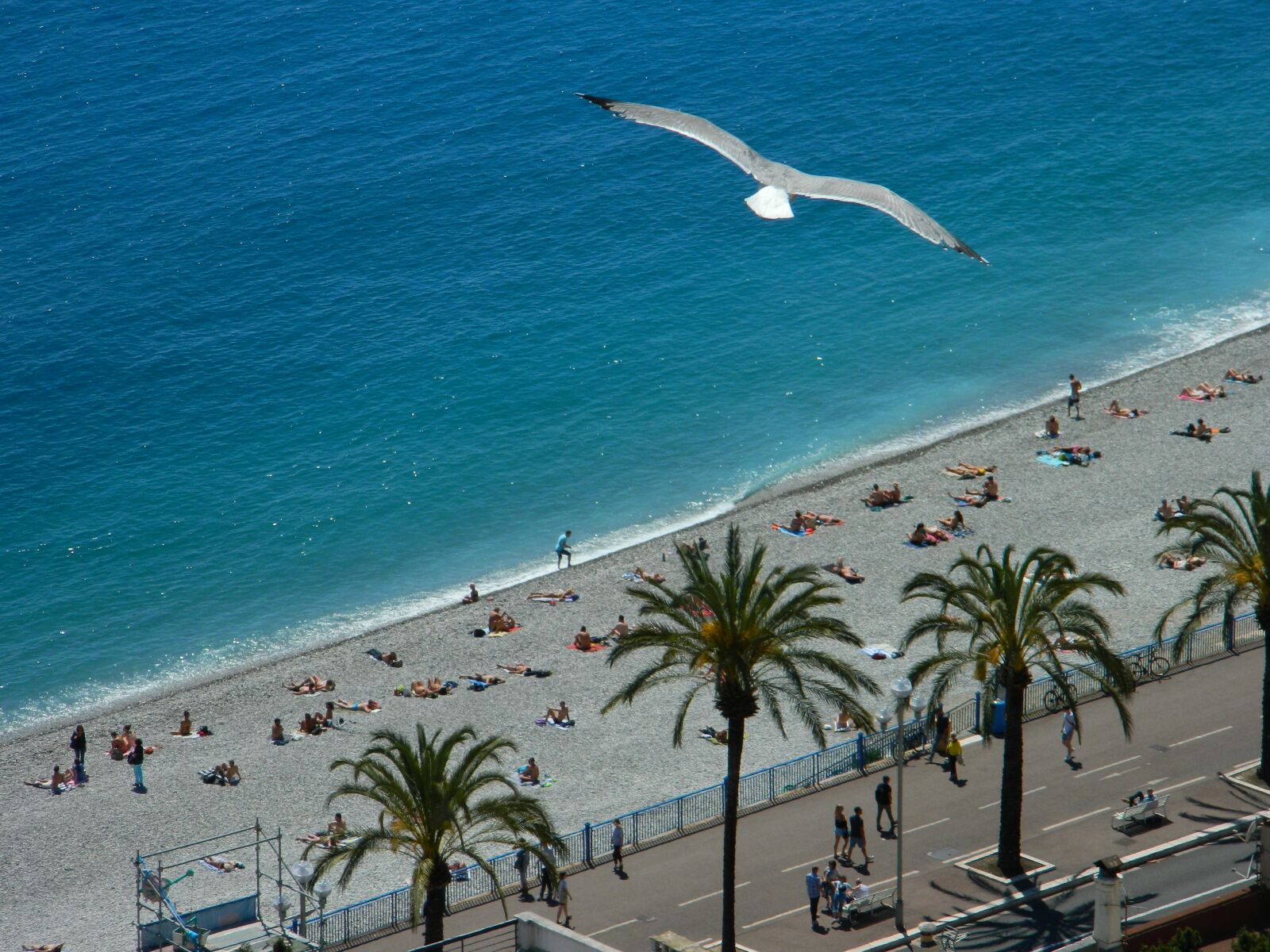Nikon Coolpix L120 sample photo. Fly, azure, palms photography