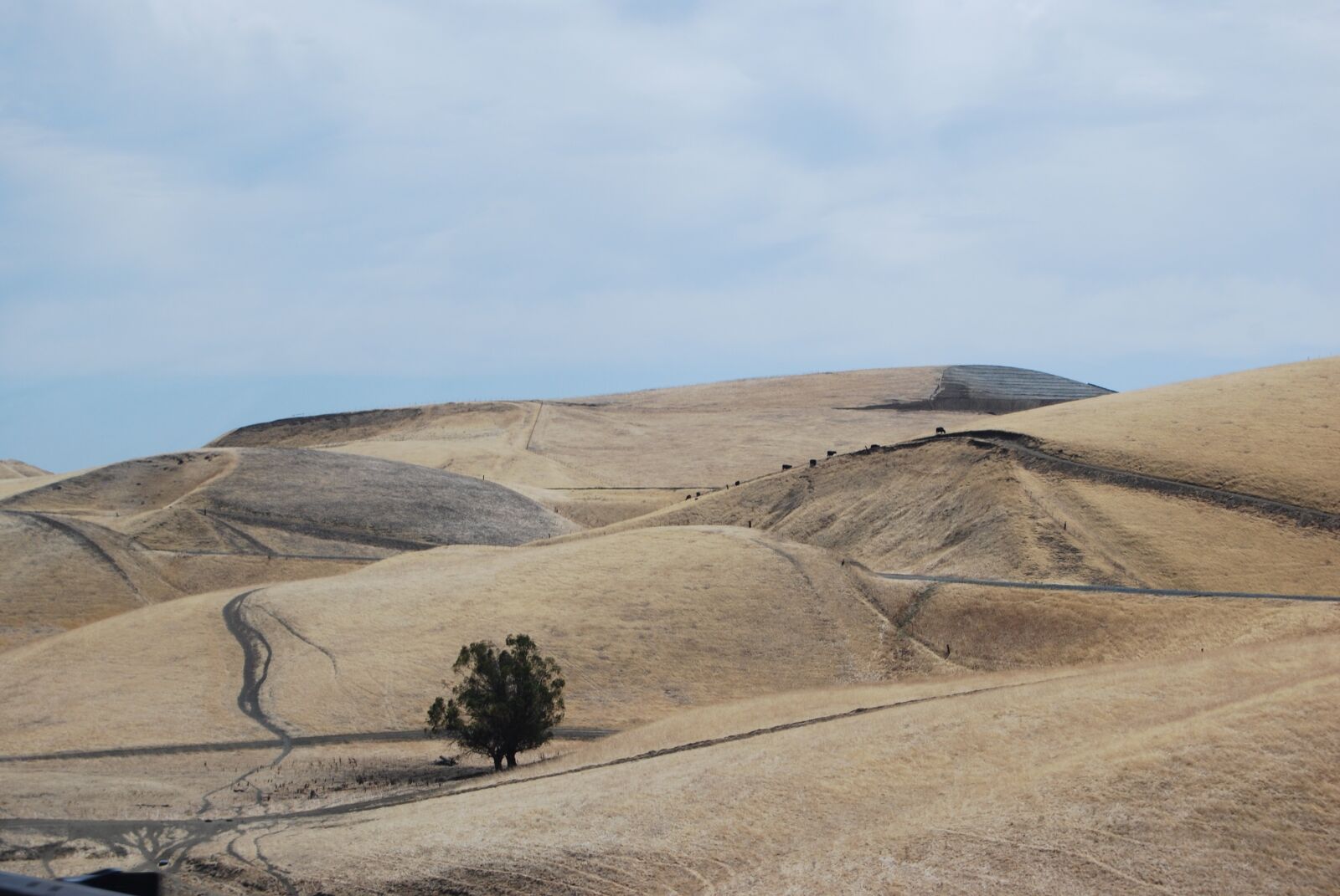 Nikon D60 sample photo. Desert, view, rest photography