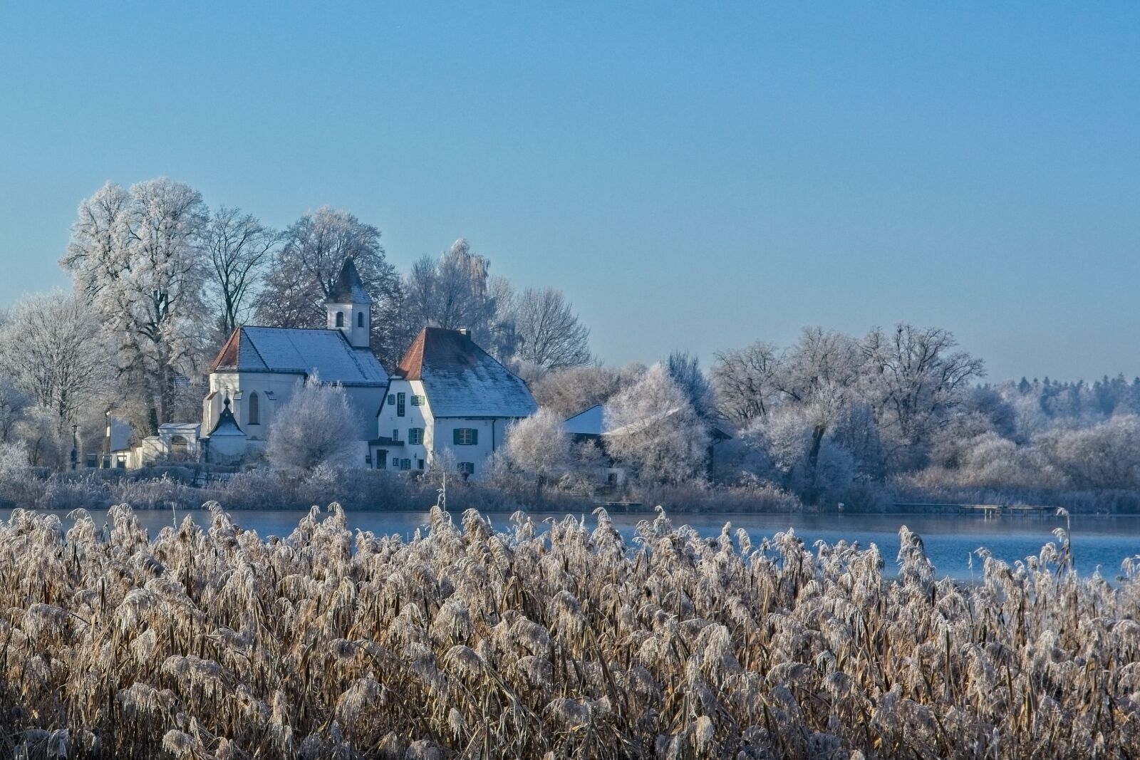 Nikon D7100 sample photo. Winter, frost, cold photography