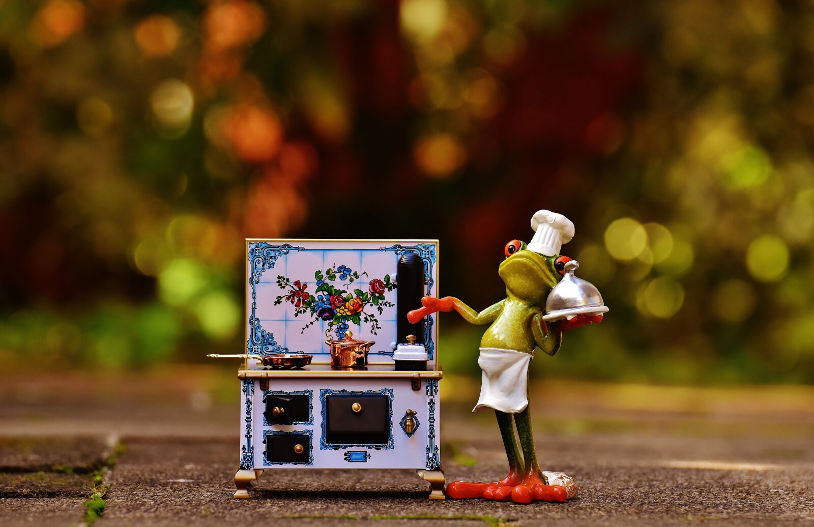 Nikon D7200 sample photo. Frog, cooking, stove photography