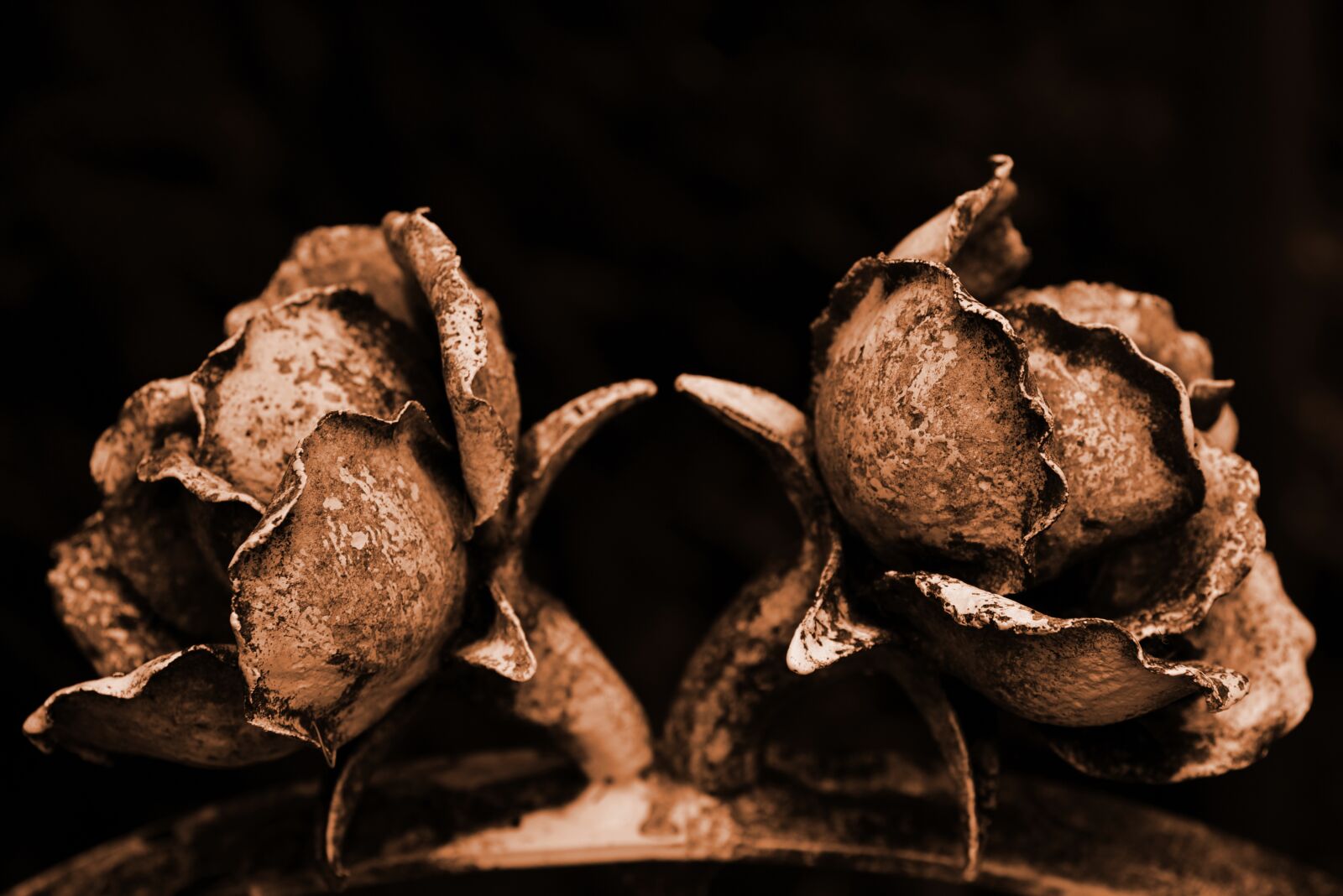 Nikon D750 sample photo. Metal, art, rose photography