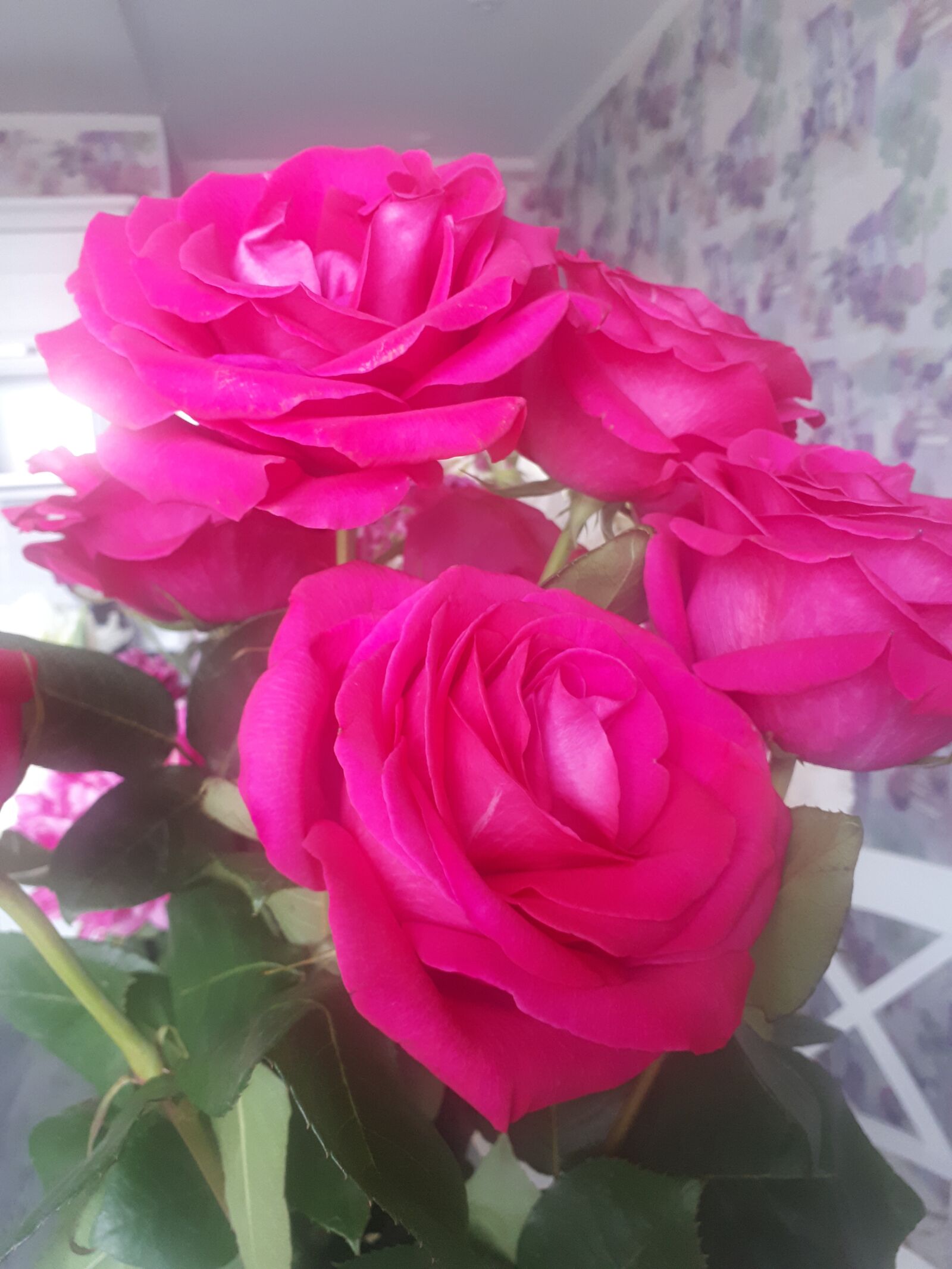 Samsung Galaxy A5(2017) sample photo. Roses, flowers, bouquet photography