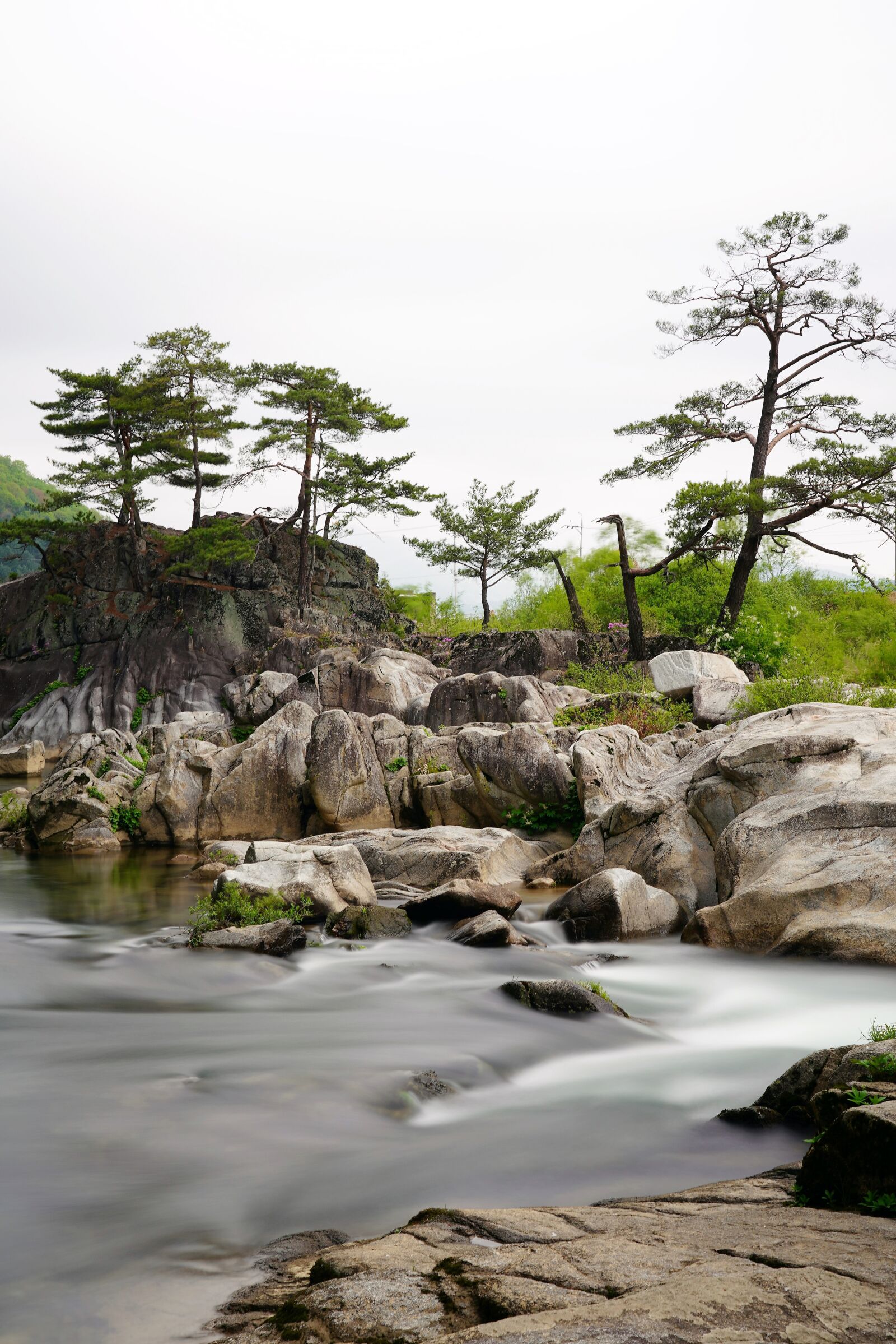 Sony FE 24-105mm F4 G OSS sample photo. Azalea, brook, water photography