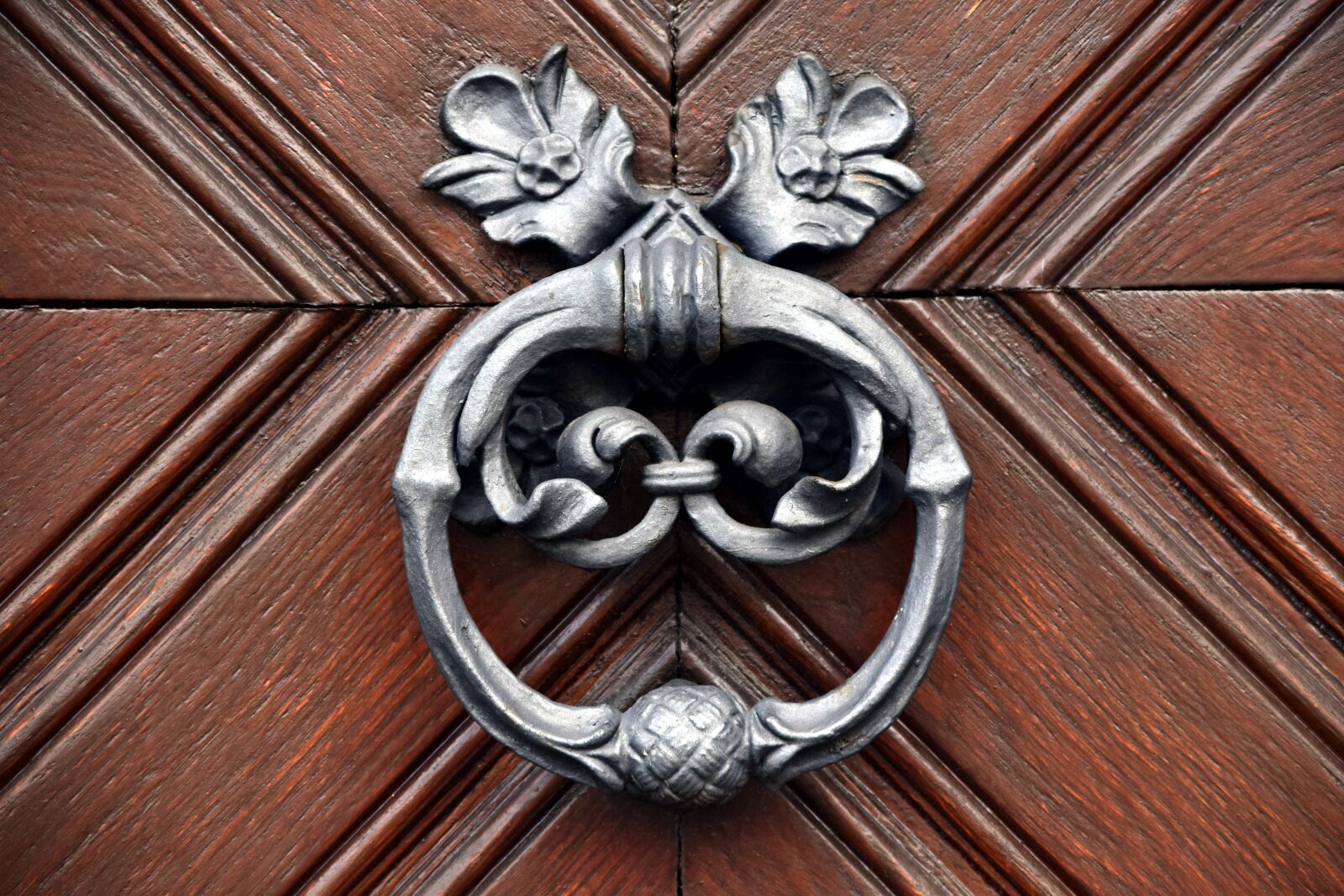 Nikon D3300 sample photo. Door, doorknocker, input photography