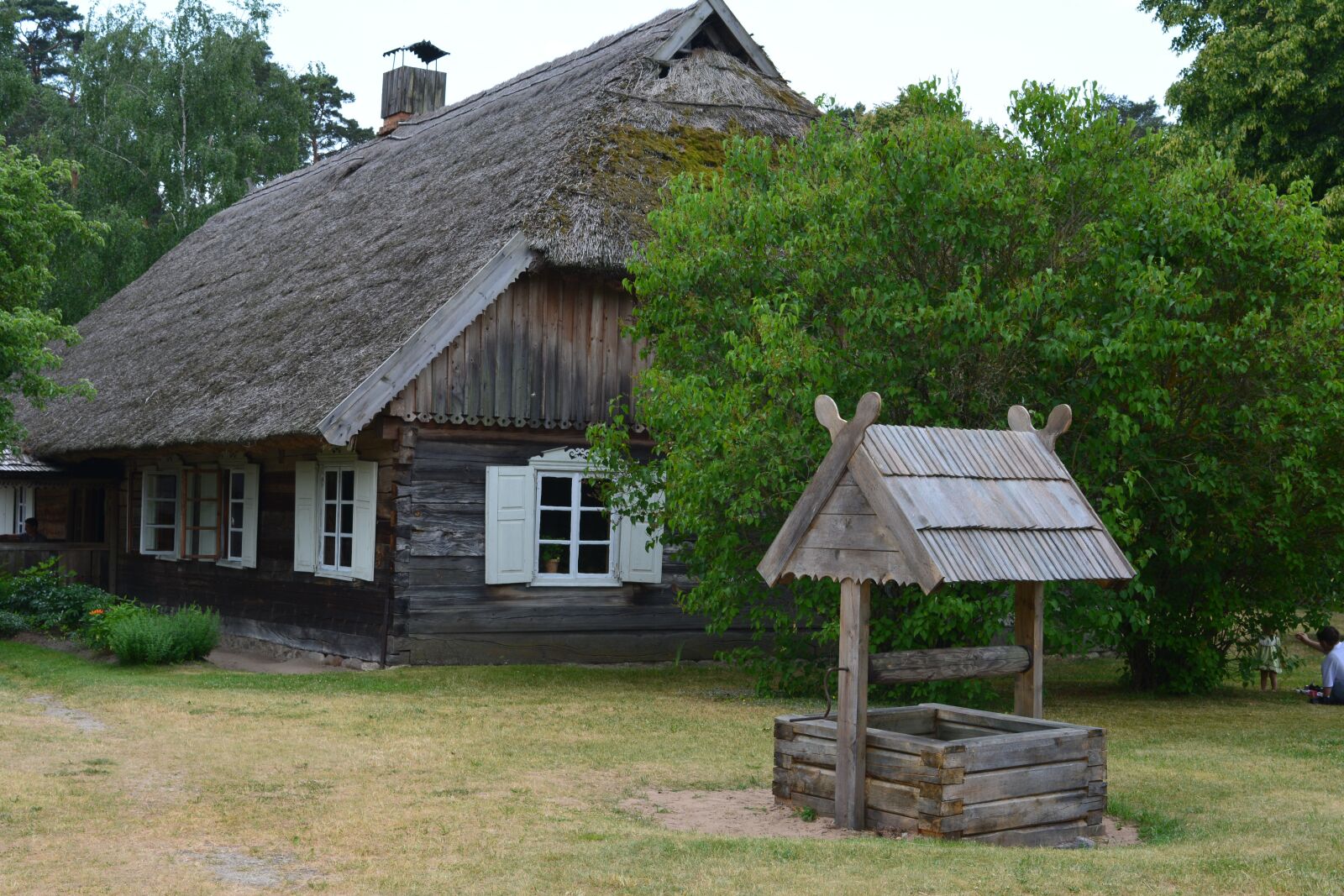 Nikon D5200 sample photo. Open air museum, architecture photography