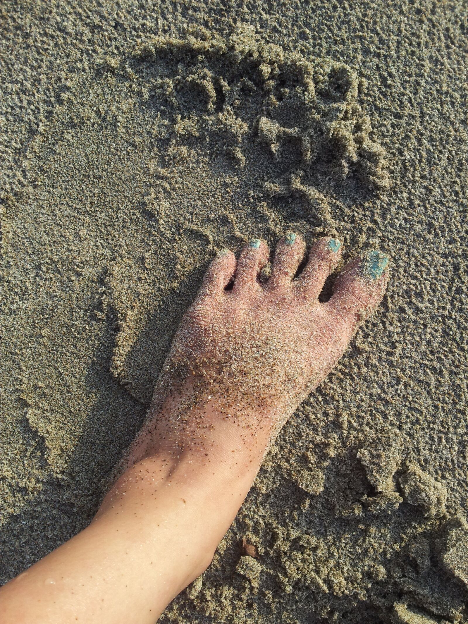 Samsung Galaxy S2 sample photo. Sand, foot, ocean photography
