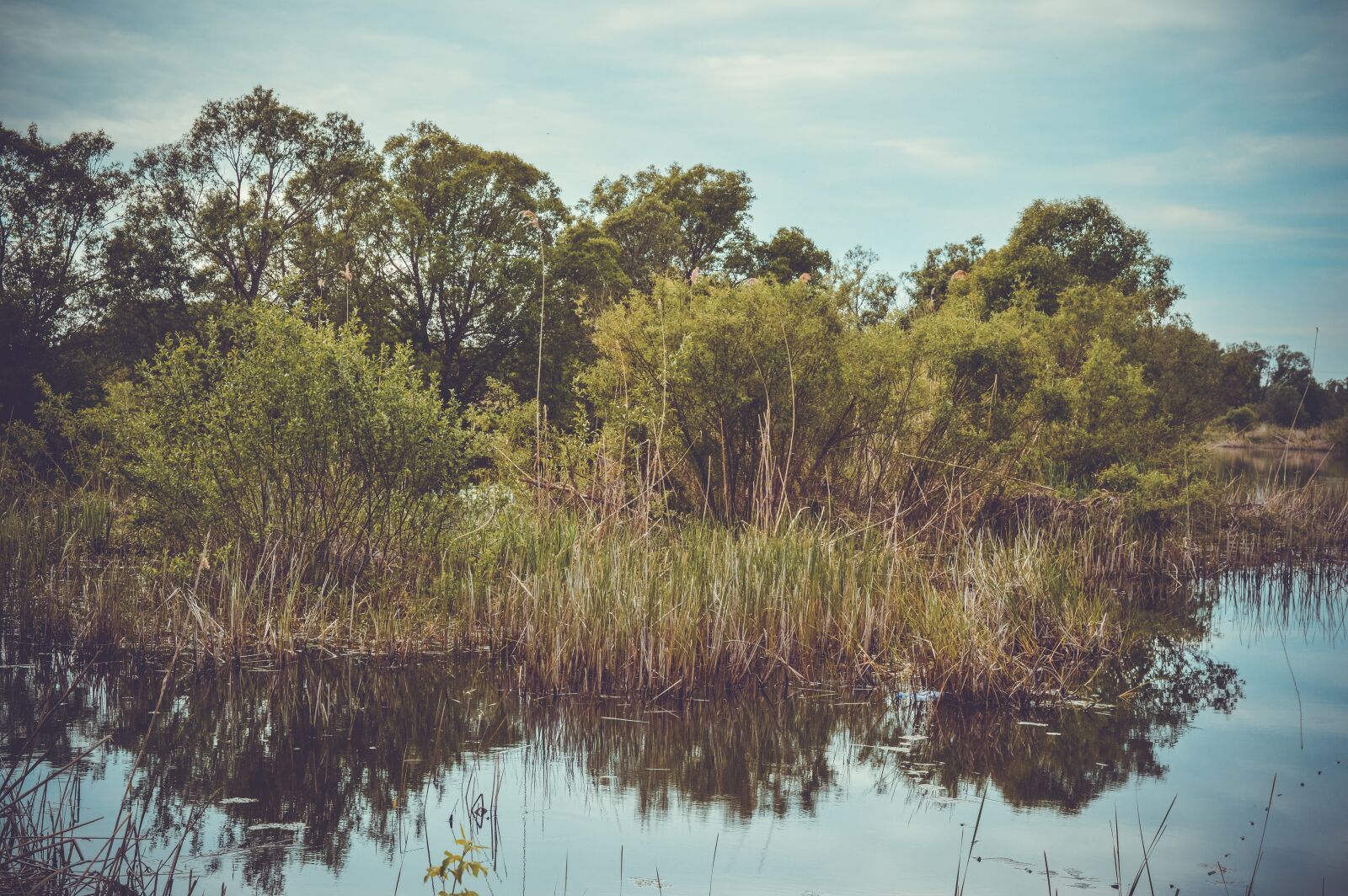 Nikon D3200 sample photo. River, river bank, reflection photography
