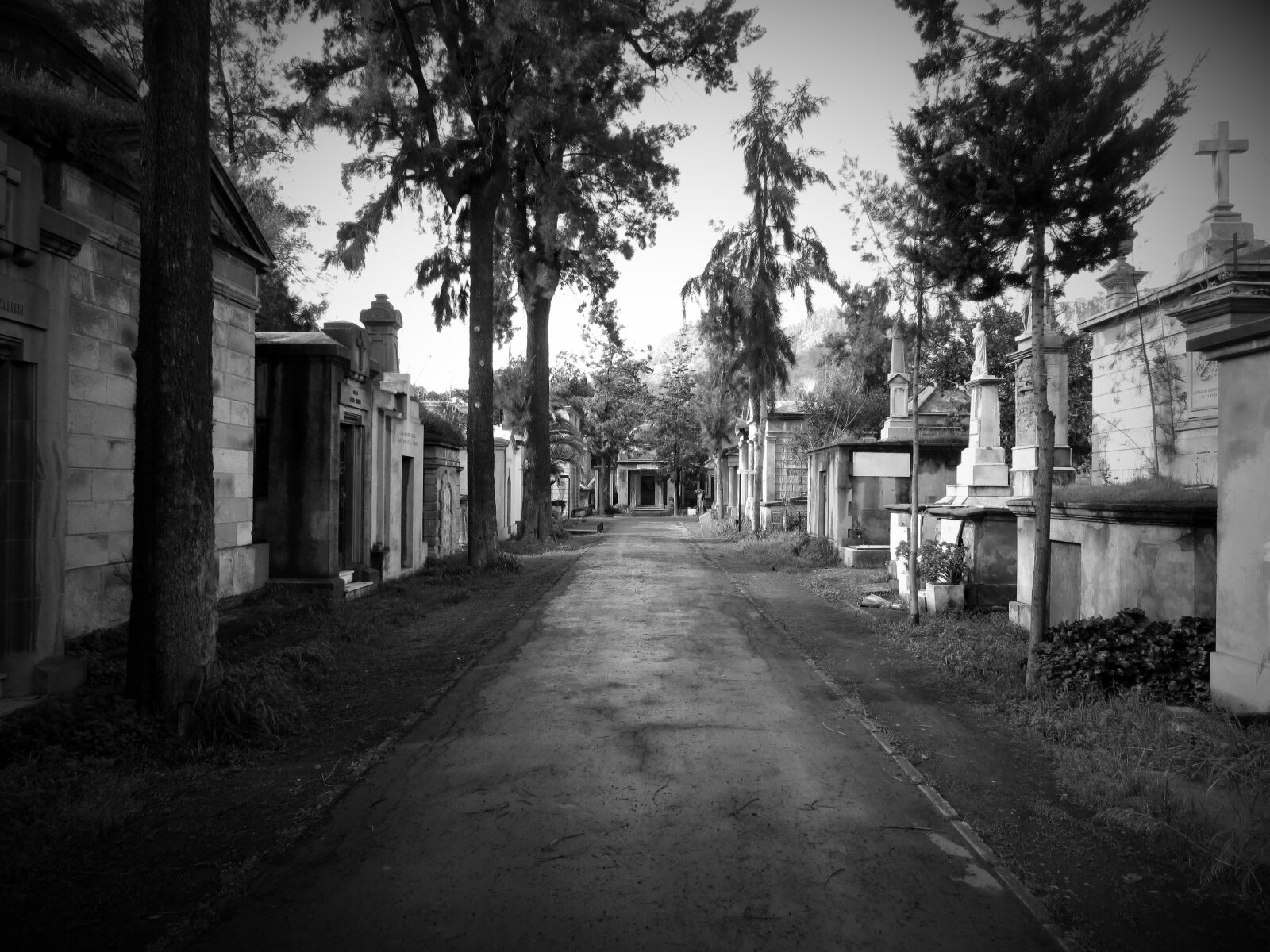 Canon PowerShot ELPH 150 IS (IXUS 155 / IXY 140) sample photo. Cemetery, path, dark photography