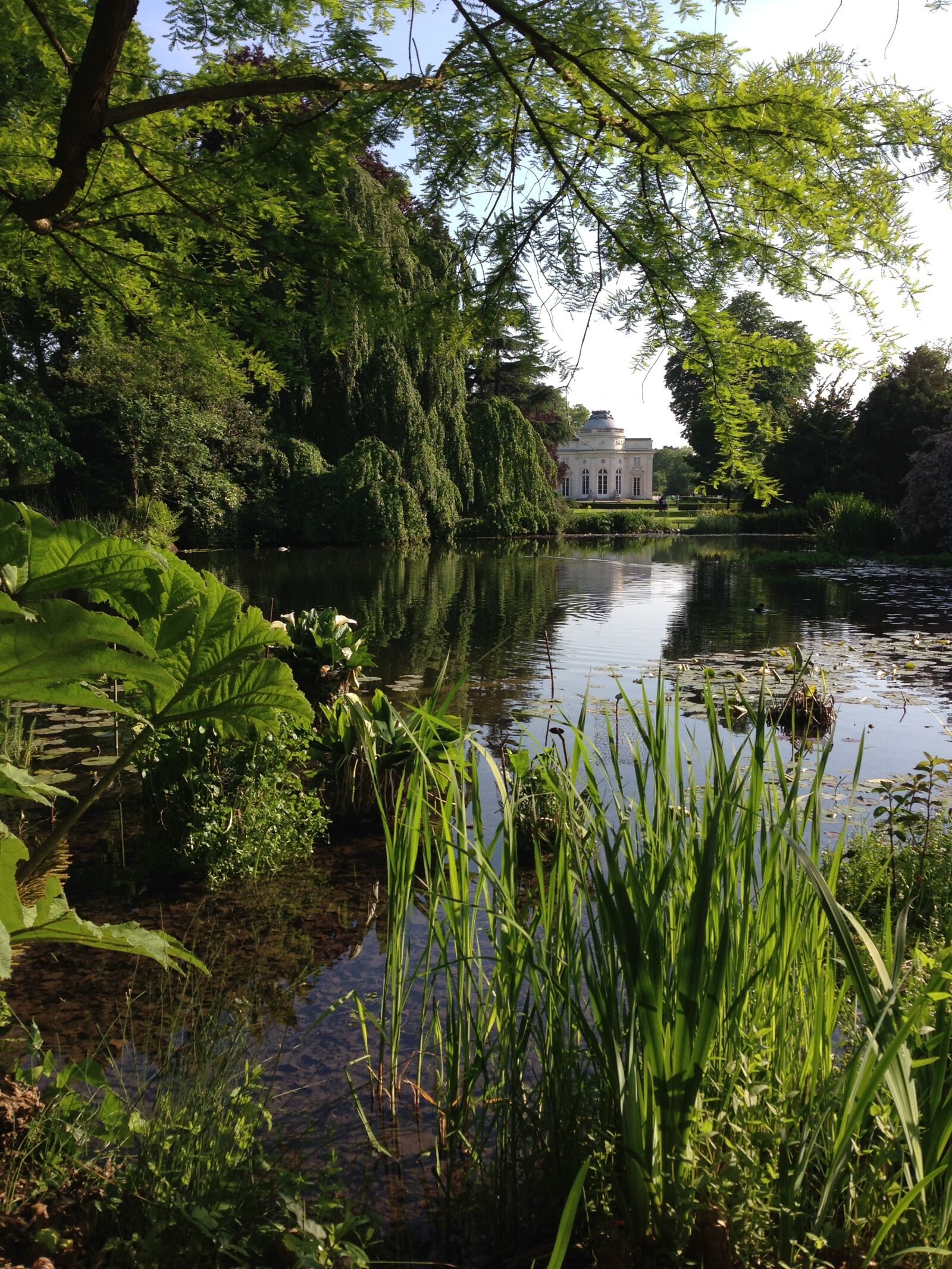 iPhone 5 back camera 4.12mm f/2.4 sample photo. Landscape, garden, lake photography
