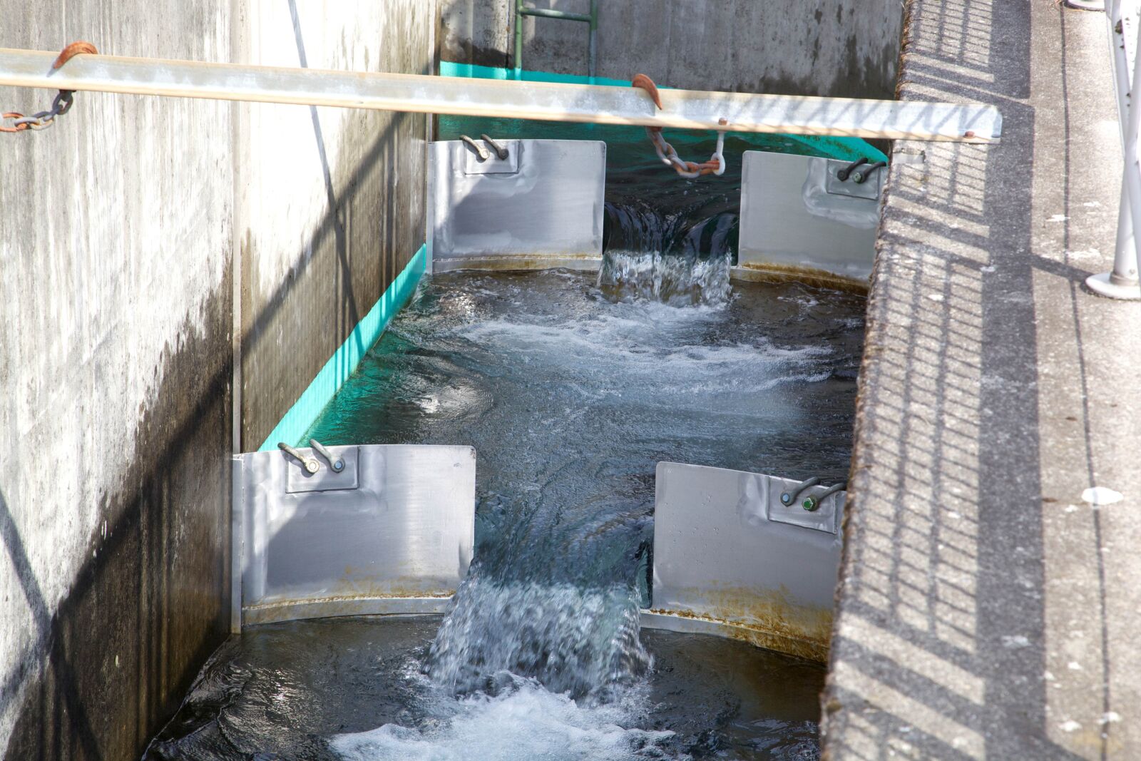 Canon EOS 5D Mark II sample photo. Spawning, canal photography