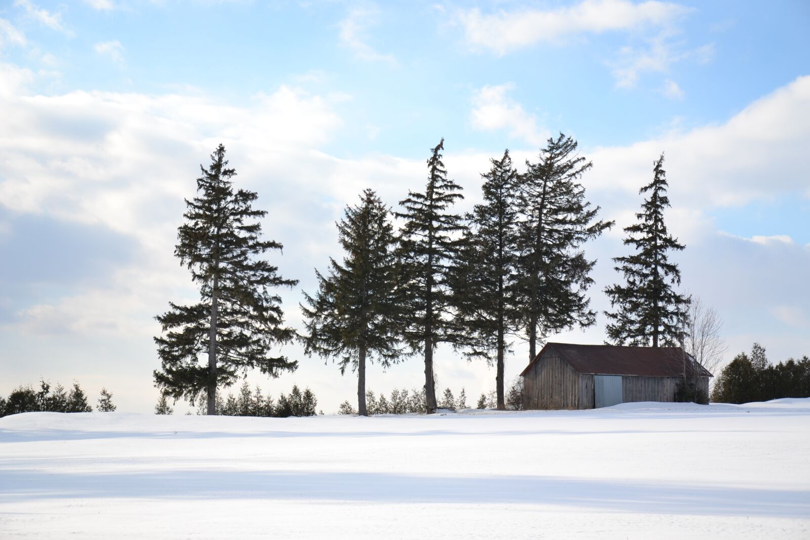 Nikon D3100 sample photo. Tree, snow, air photography