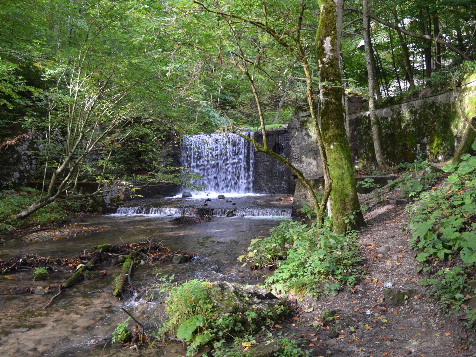 Nikon D5100 sample photo. Sinaia, cascada, forest photography