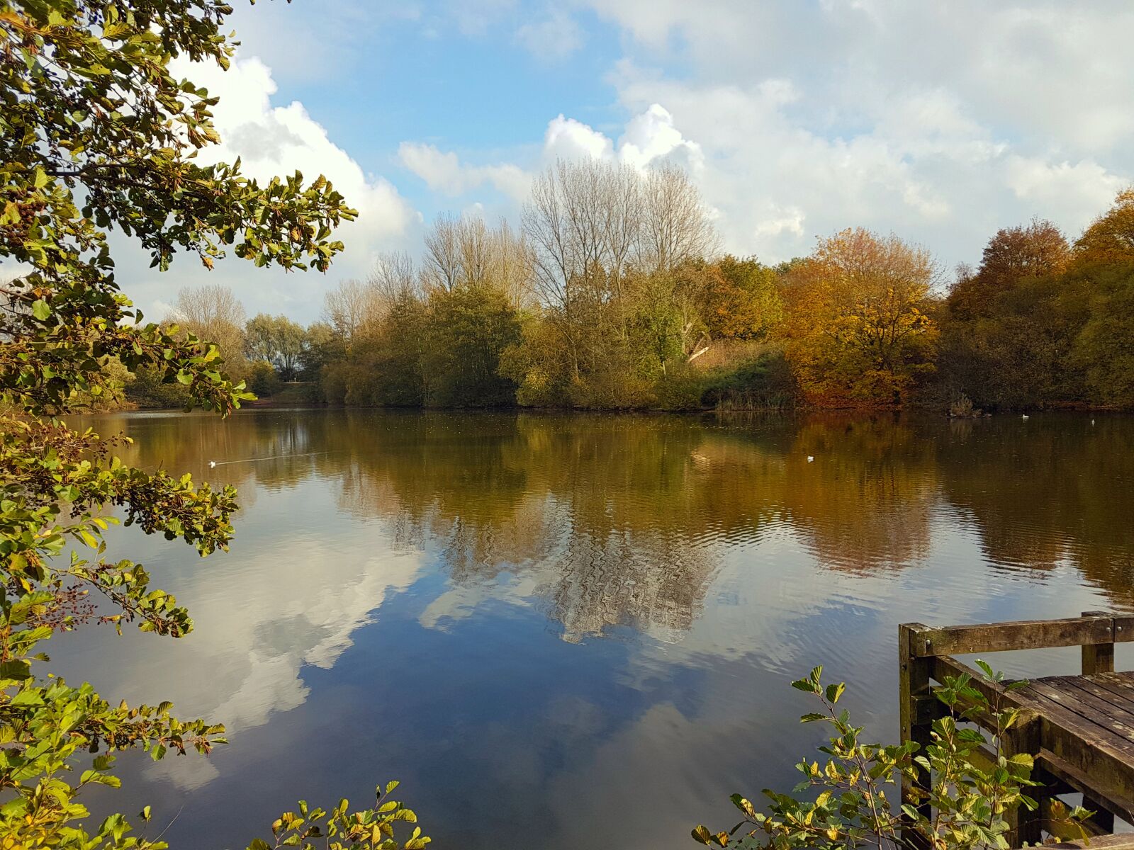 Samsung Galaxy S7 sample photo. Autumn, autumn, colours, autumn photography
