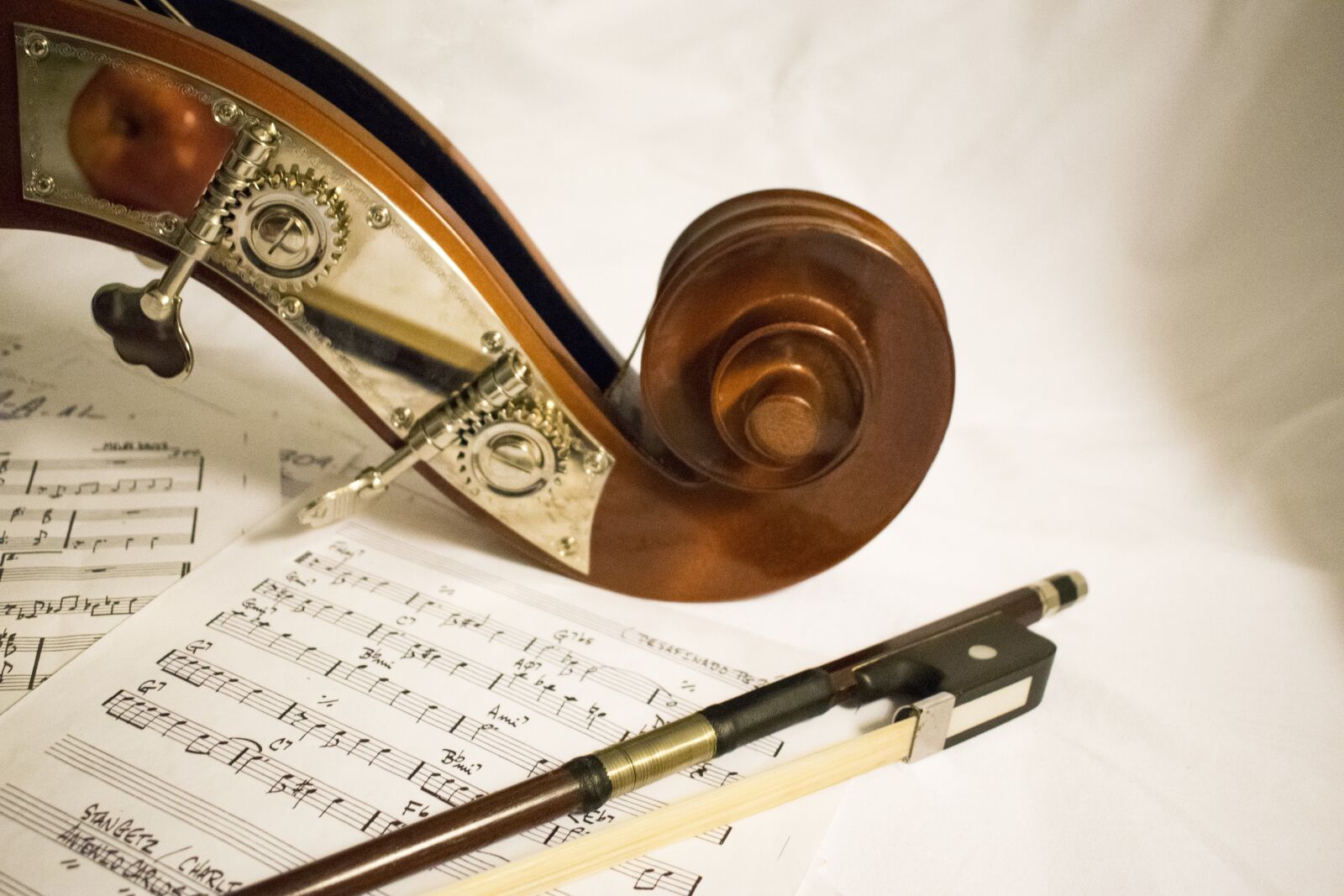 Nikon D5300 sample photo. Double bass, music, arc photography