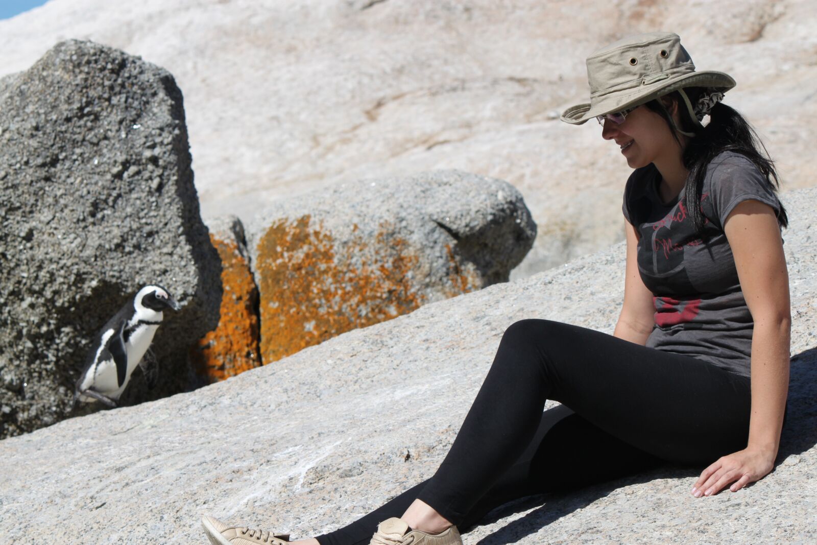 Canon EOS 500D (EOS Rebel T1i / EOS Kiss X3) sample photo. Penguin, beach, stones photography