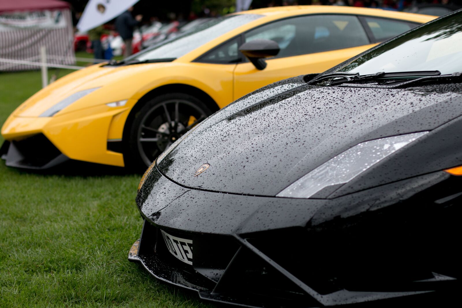 Canon EOS 70D + Canon EF 50mm F1.4 USM sample photo. Lamborghini gallardo, cars, luxury photography
