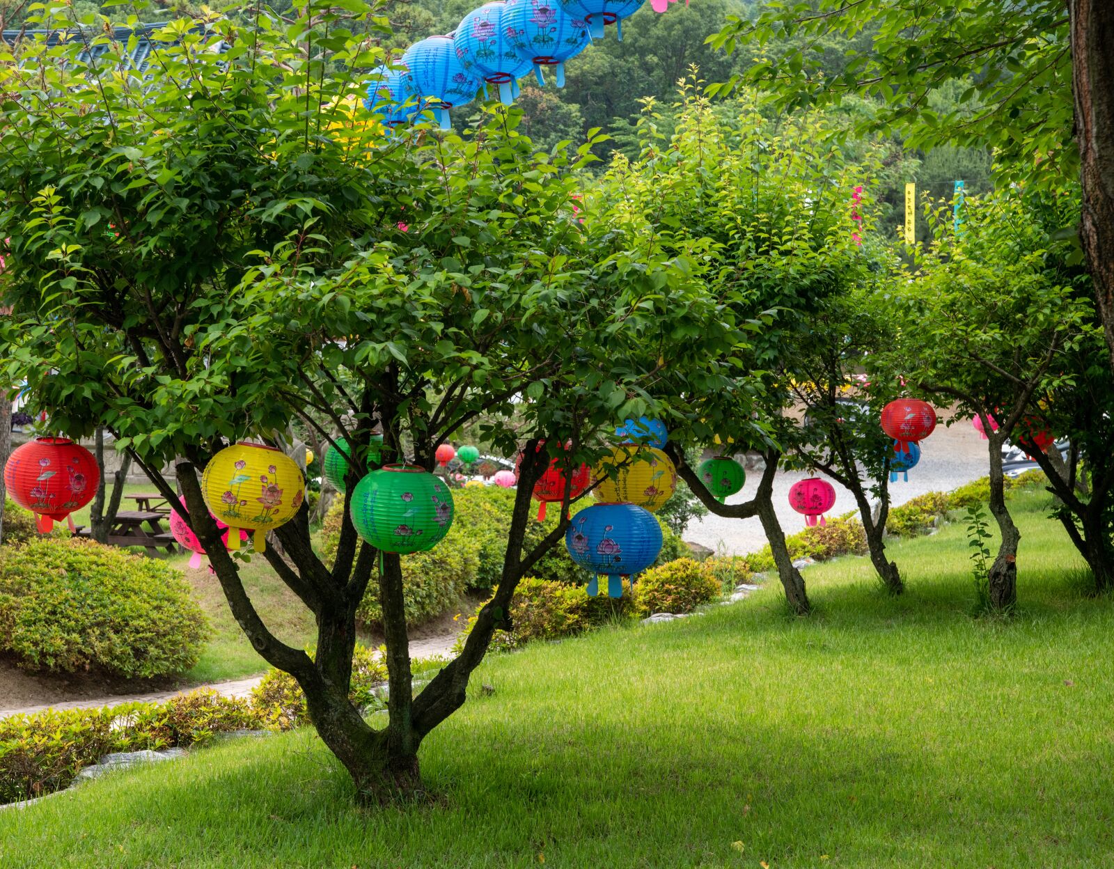 Nikon D850 sample photo. Buddhism, buddha's birthday, lantern photography