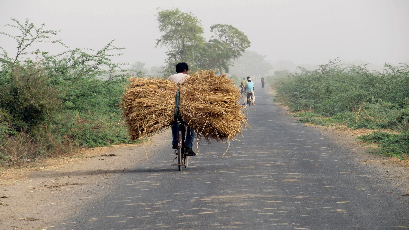 Canon PowerShot SX130 IS sample photo. India, travel, transportation photography