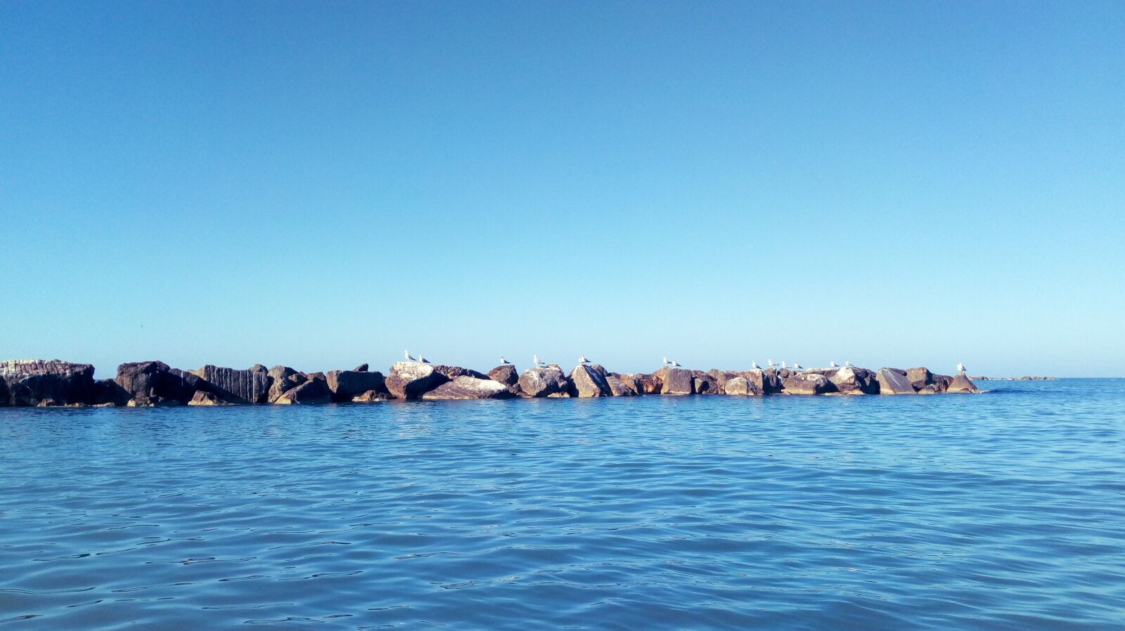 HUAWEI Y6 a! Compact sample photo. Sea, rocks, seagulls photography