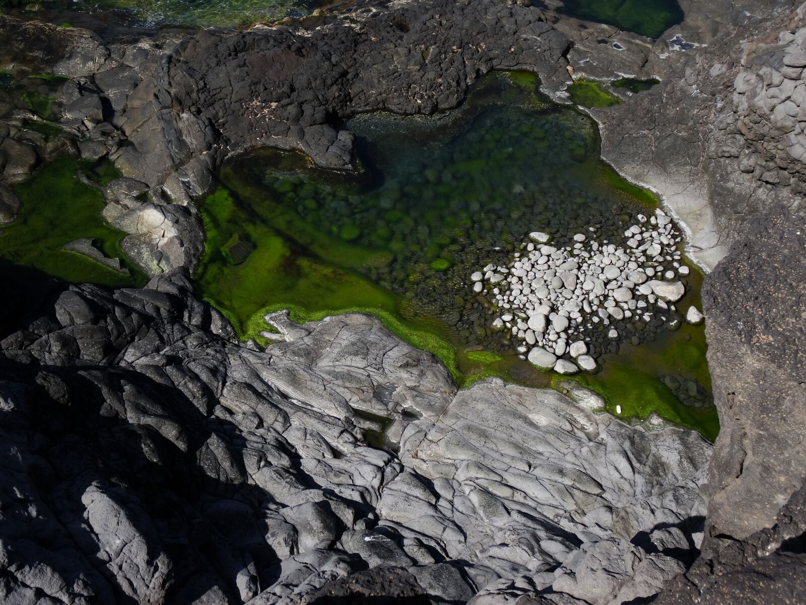 Sony DSC-HX50 sample photo. Sea, rocky coast, green photography