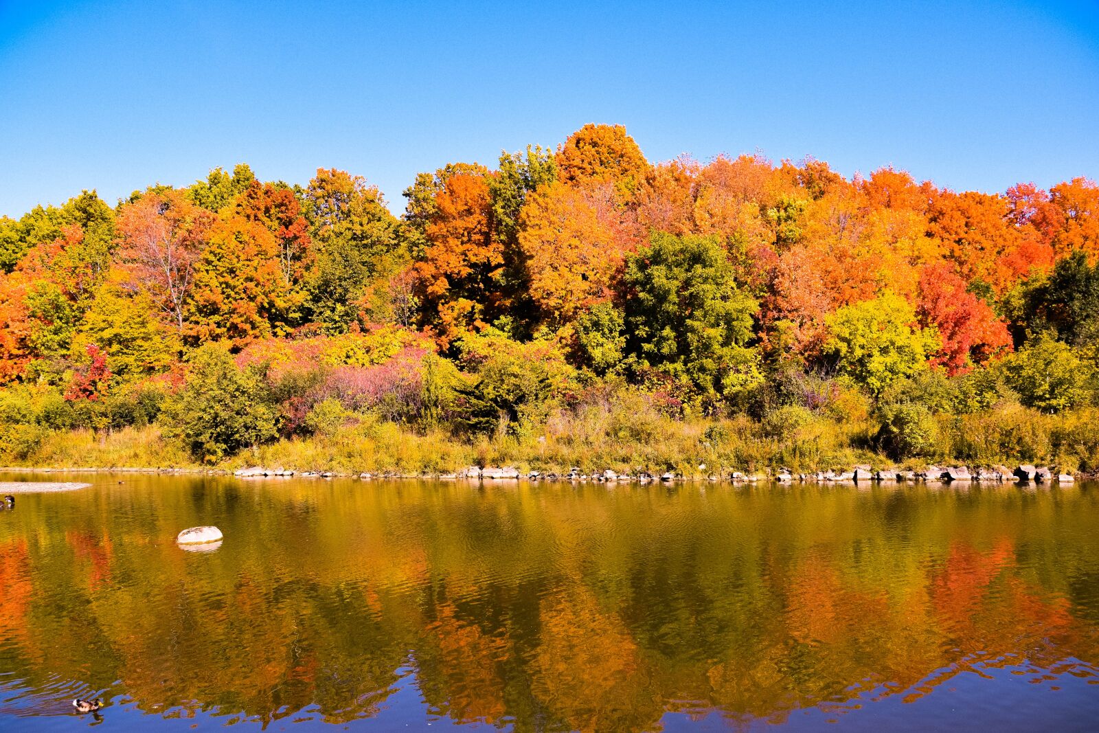 Nikon D5500 sample photo. Fall colors, canada, landscape photography