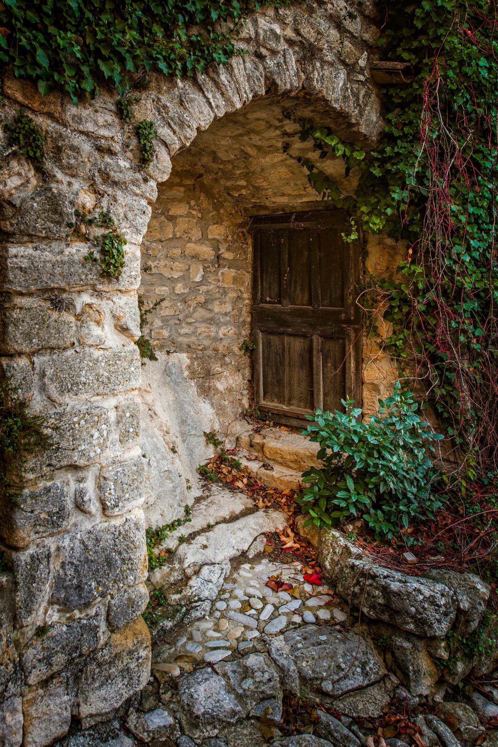 Nikon D800 sample photo. House, entry, door photography