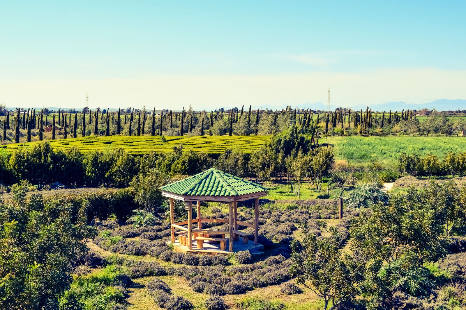 Nikon D3300 sample photo. Cyprus, avgorou, cyherbia photography