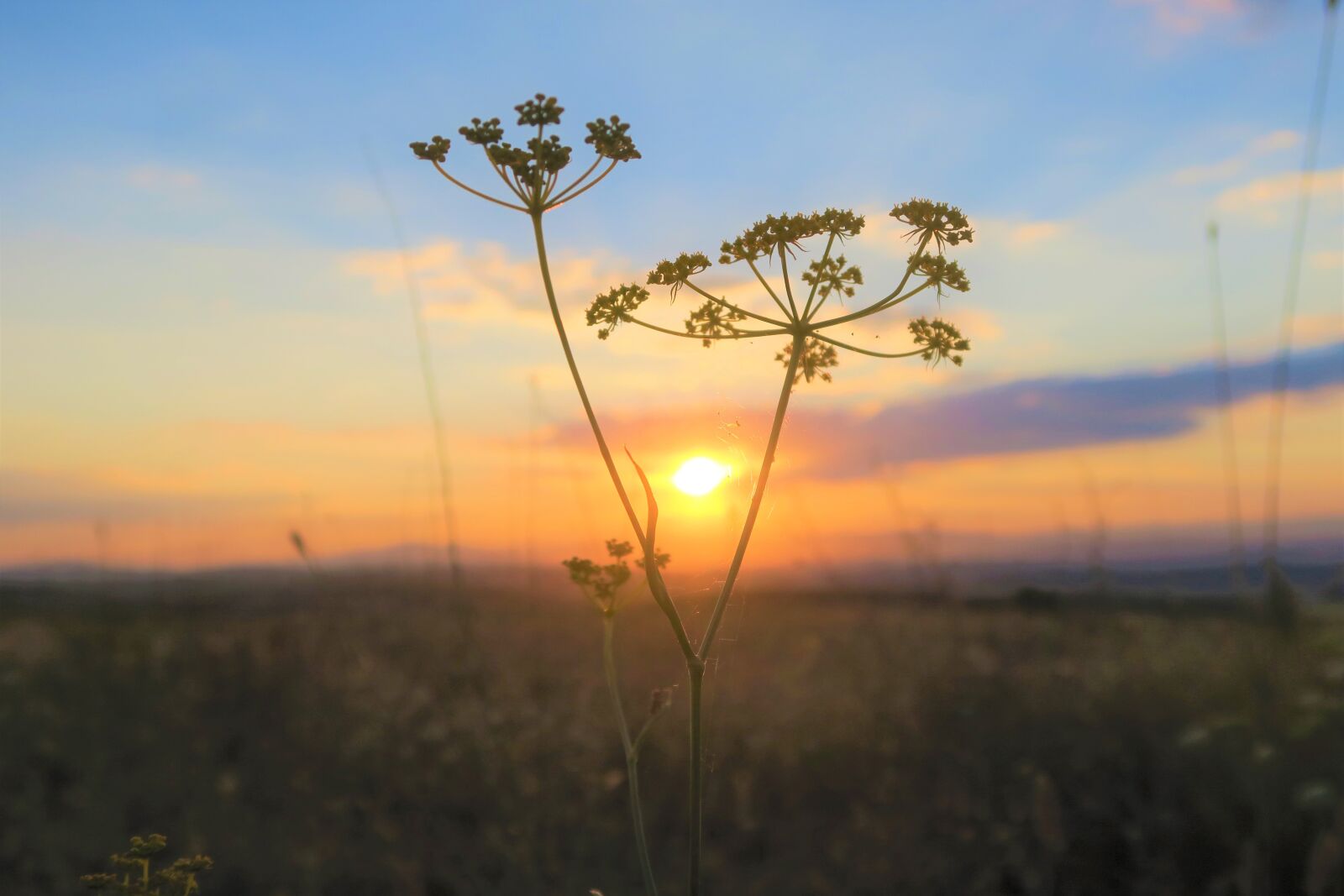 Canon PowerShot G7 X sample photo. Sunset, in the evening photography