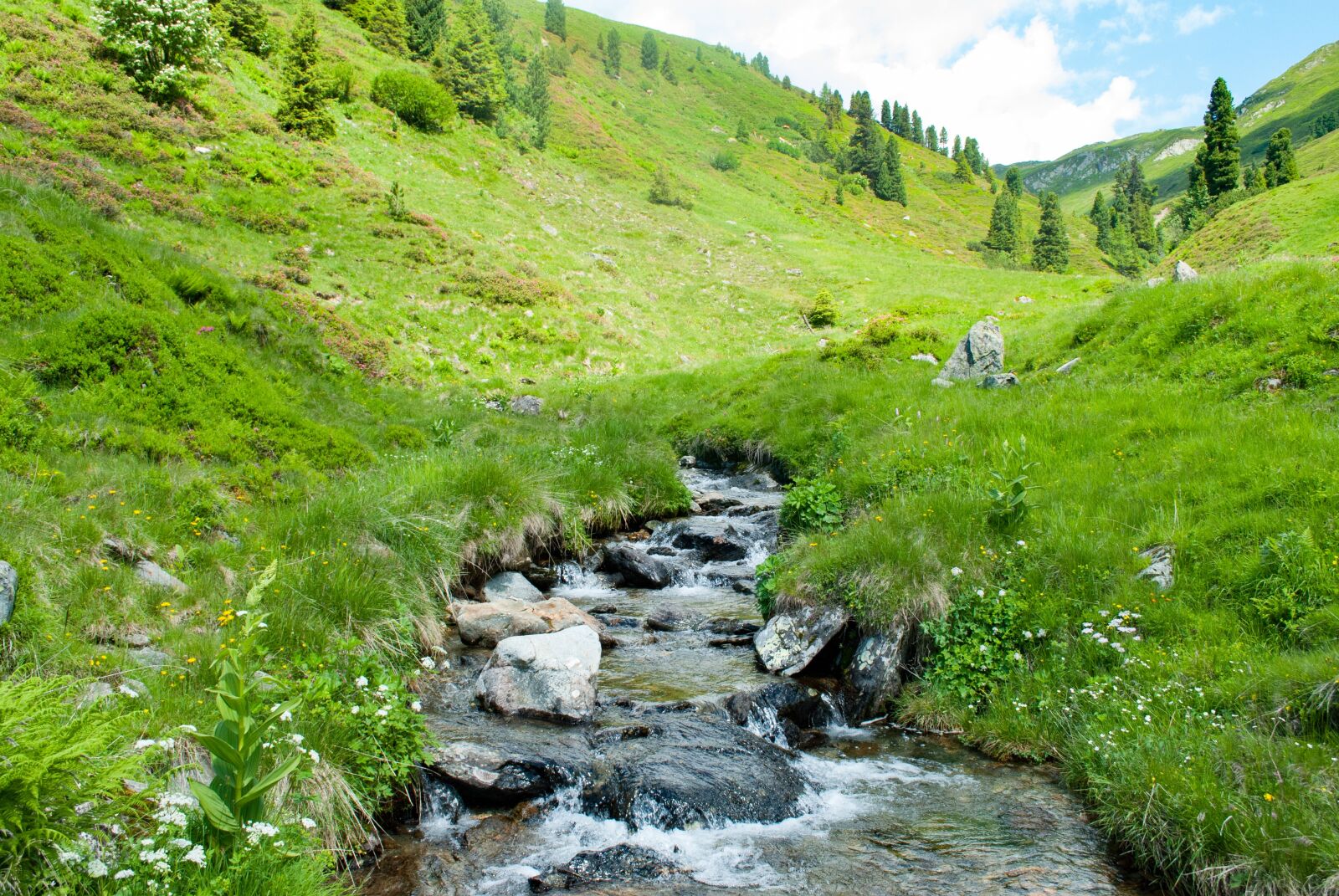 Nikon D60 sample photo. Mountains, hiking, bach photography