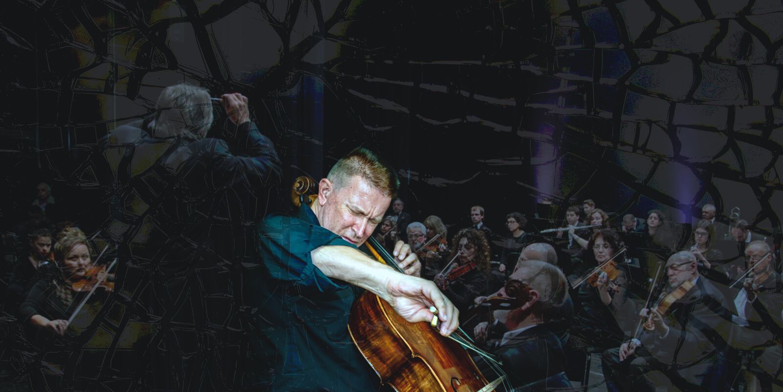 Nikon D5600 sample photo. Cello, orchestra, conductor photography