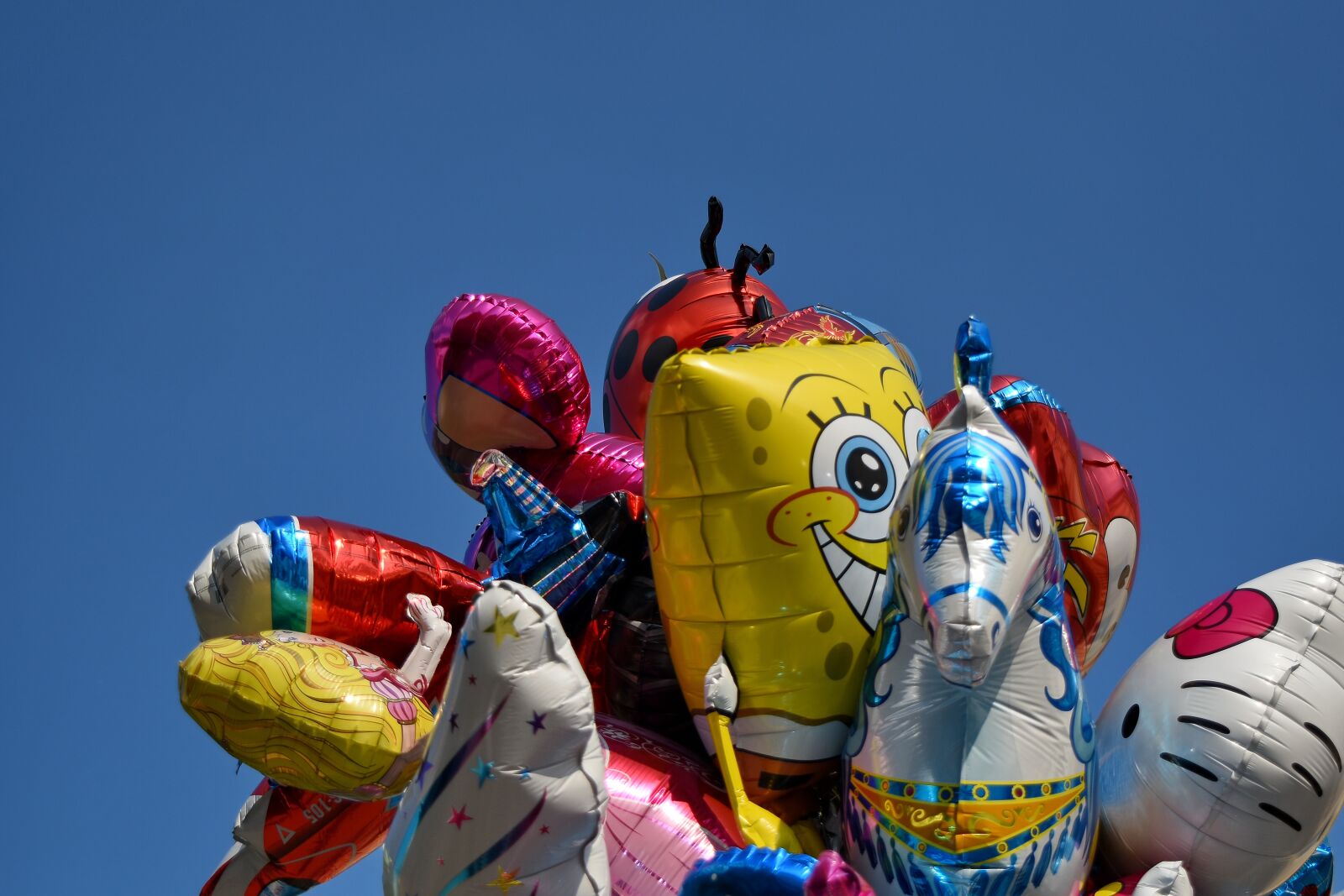 Nikon D5500 sample photo. Balloon, festival, fun, competition photography