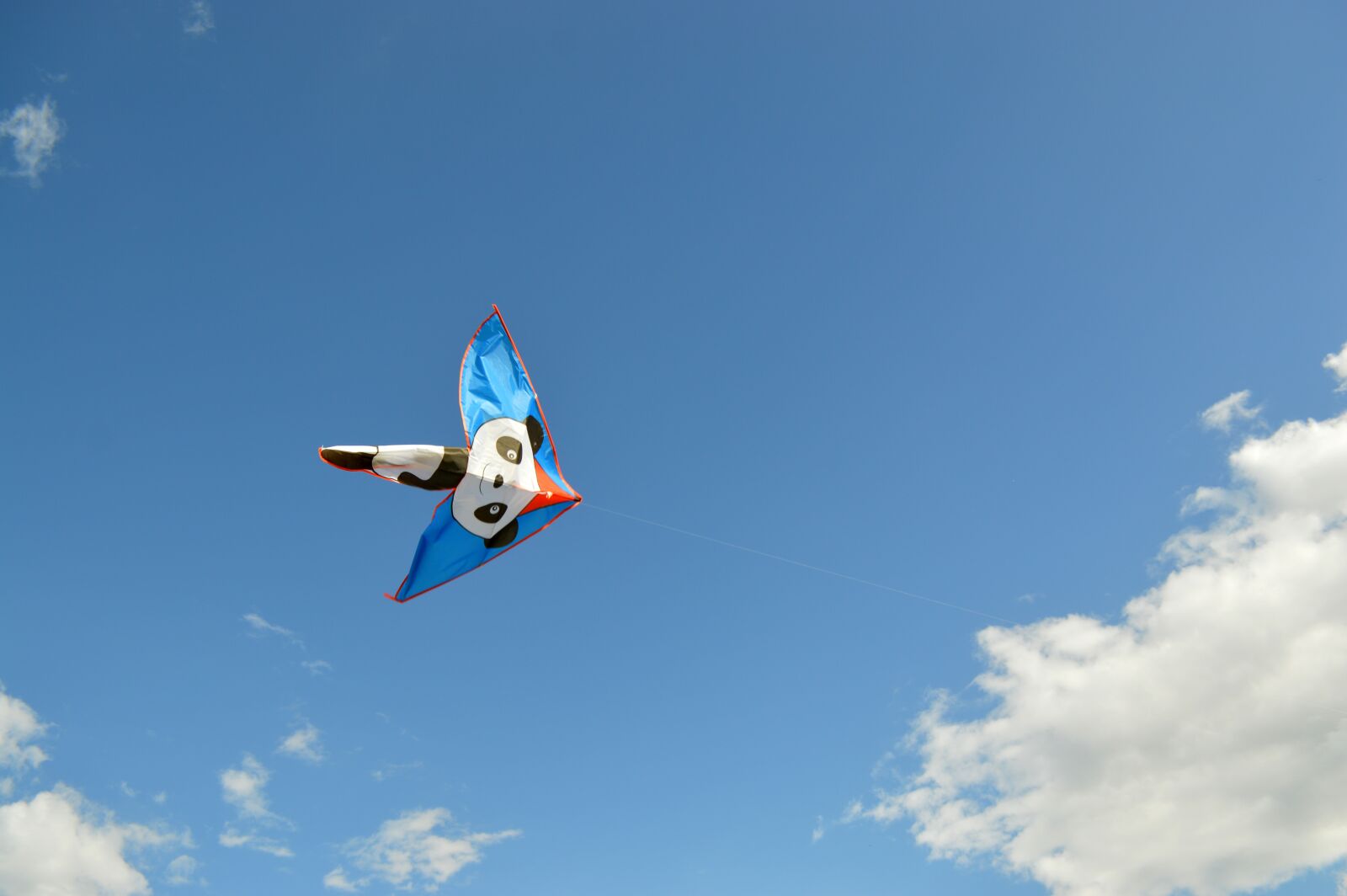 Nikon D3200 sample photo. Kite, sky, clouds photography
