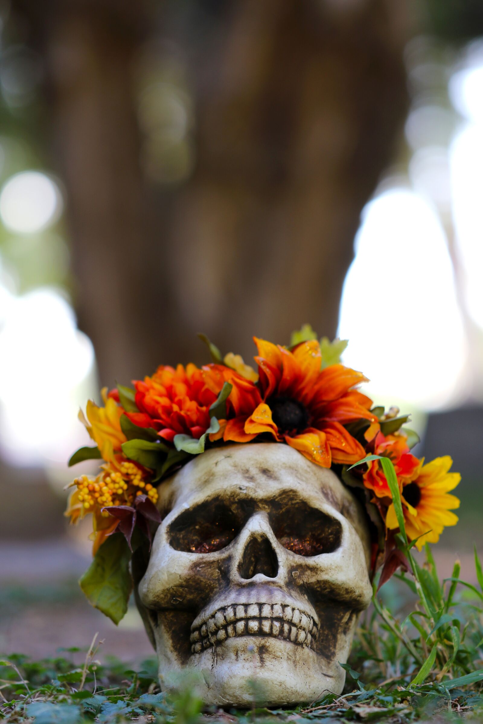 Canon EOS 7D Mark II + Canon EF 100mm F2.8L Macro IS USM sample photo. Halloween, halloween poster, scary photography