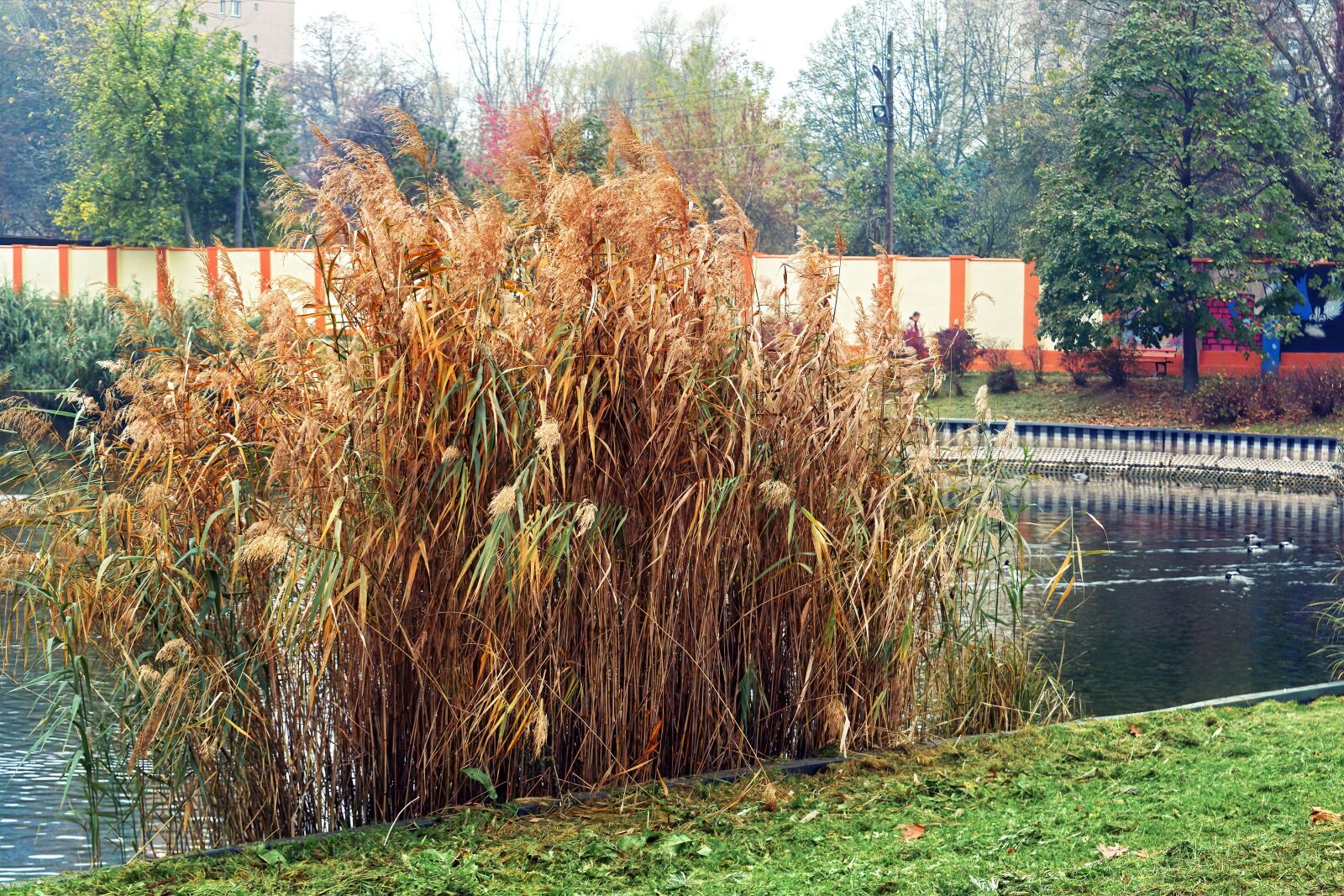 Nikon D3100 sample photo. Landscape, lake, water photography