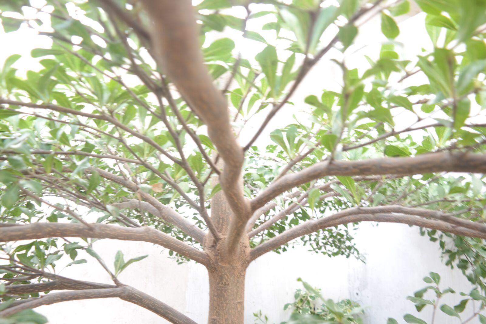 Samsung NX300 sample photo