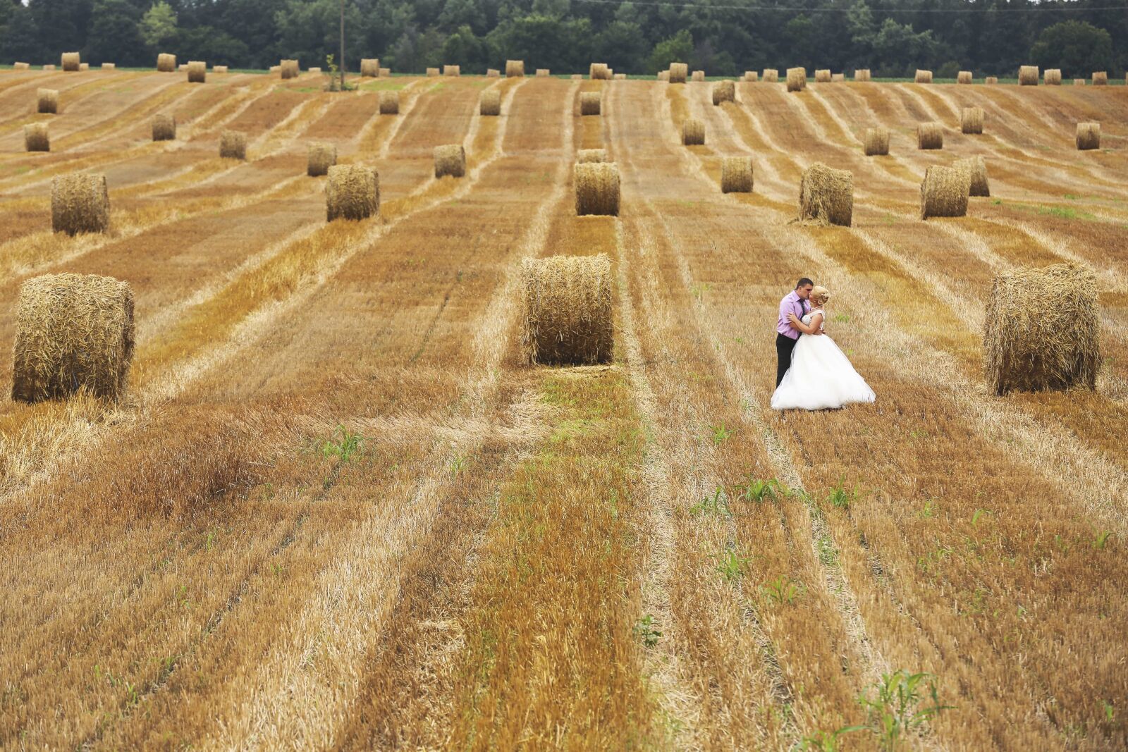 Canon EOS 5D Mark III sample photo. Agriculture, hay field, hug photography