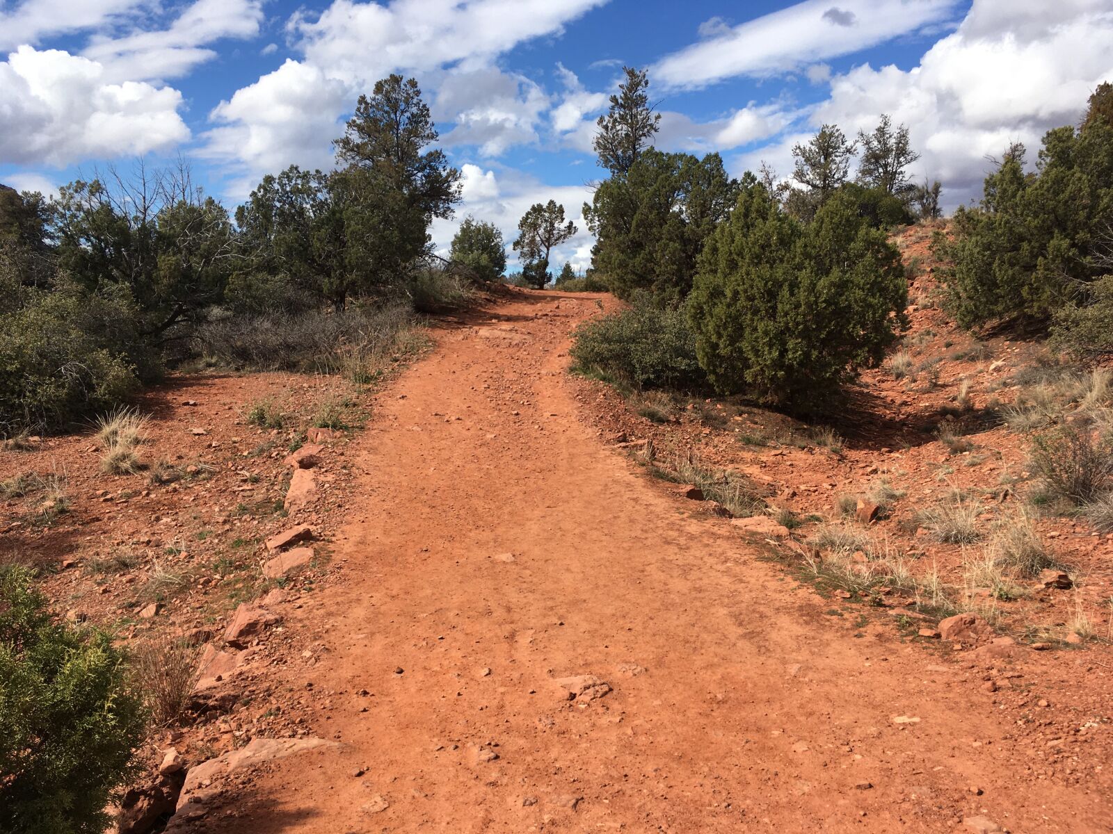 iPhone SE back camera 4.15mm f/2.2 sample photo. Sedona, arizona, desert photography