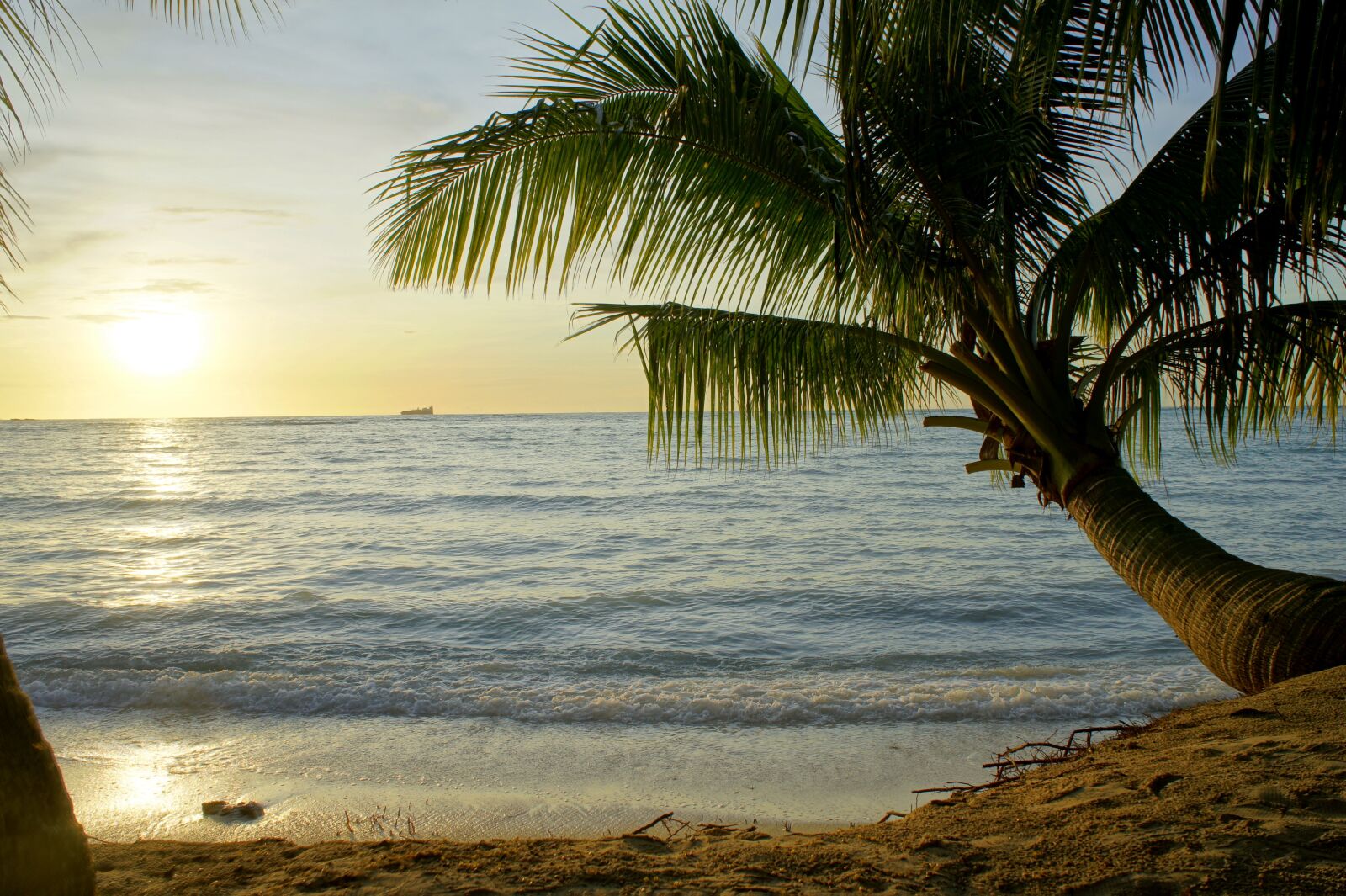 Sony Alpha NEX-3 + Sony E 18-55mm F3.5-5.6 OSS sample photo. Beach, sunset, palm tree photography